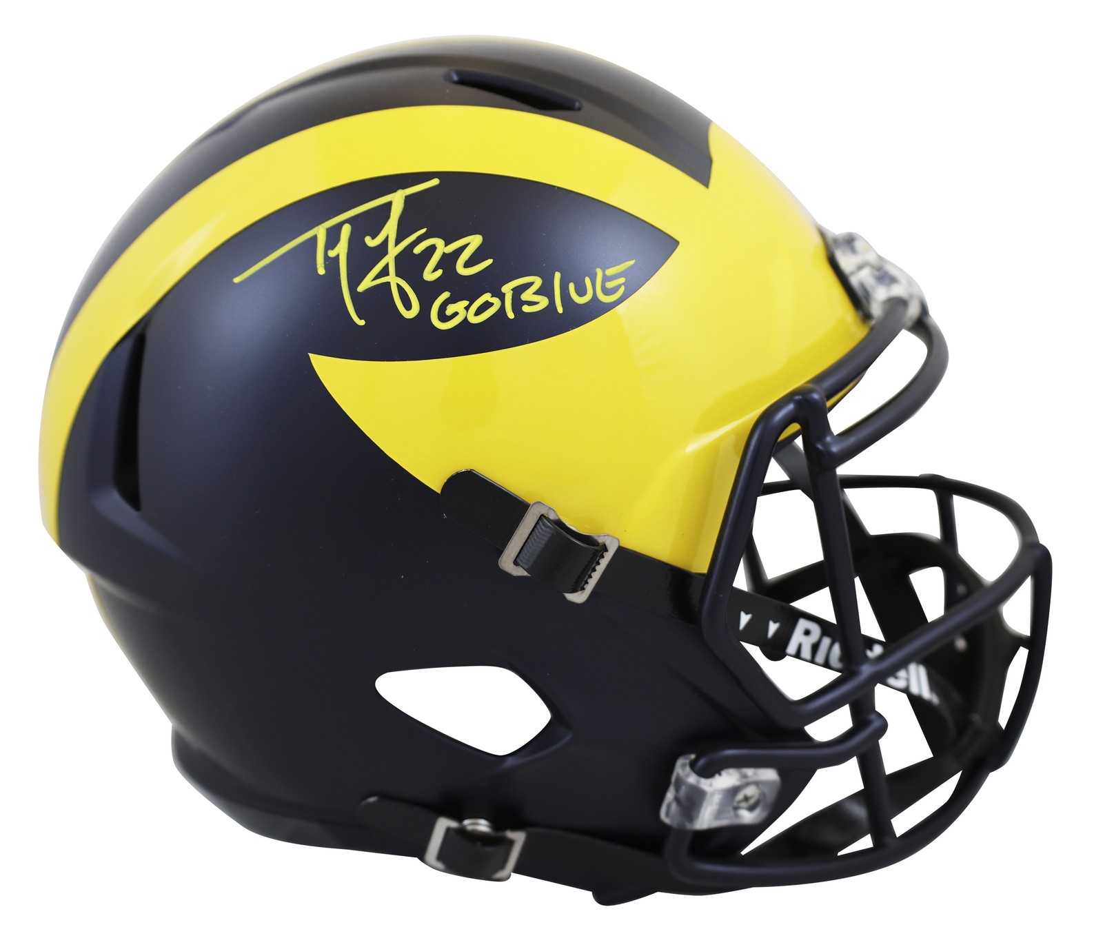 Michigan Ty Law 