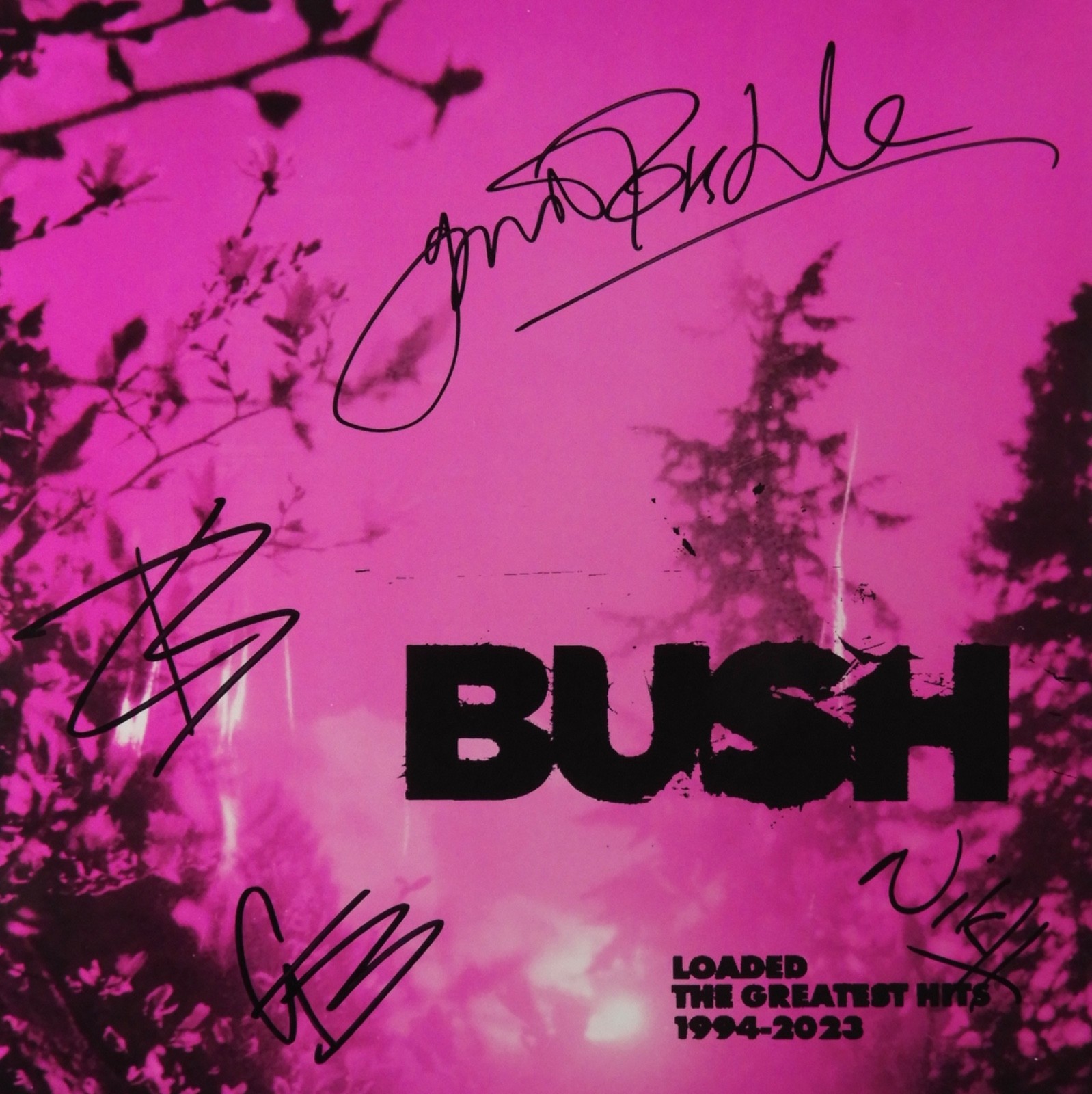 Bush JSA Fully Signed Autograph Album Record Loaded Greatest Hits Gavin Rossdale