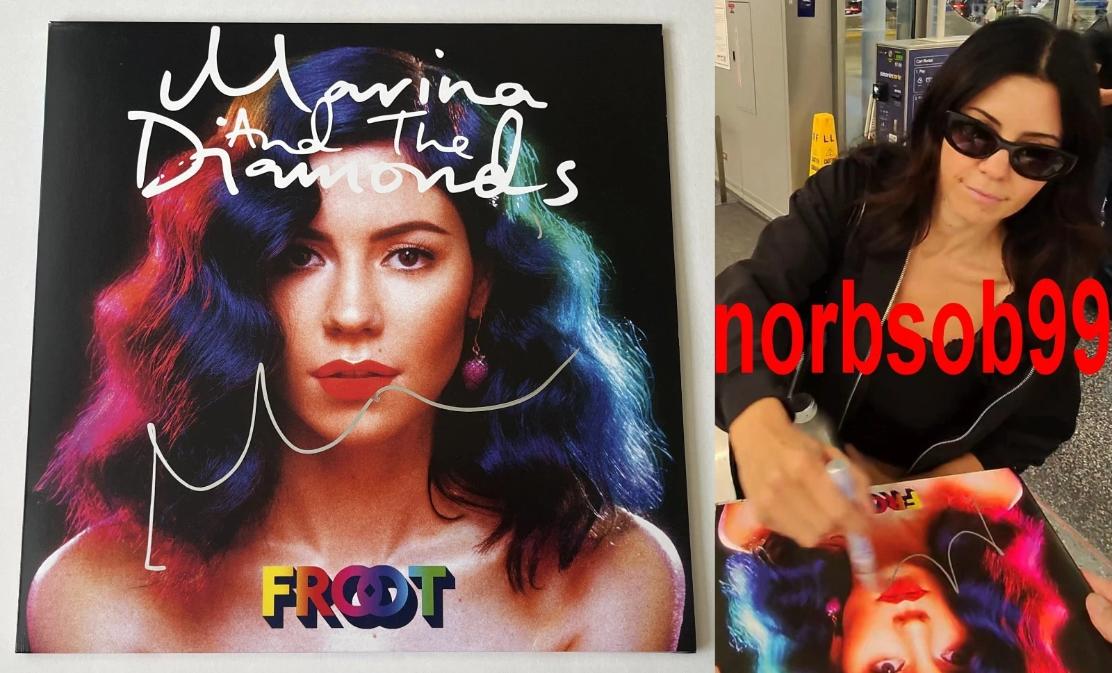 MARINA & THE DIAMONDS SIGNED AUTOGRAPH FROOT VINYL ALBUM RECORD LP w/EXACT PROOF