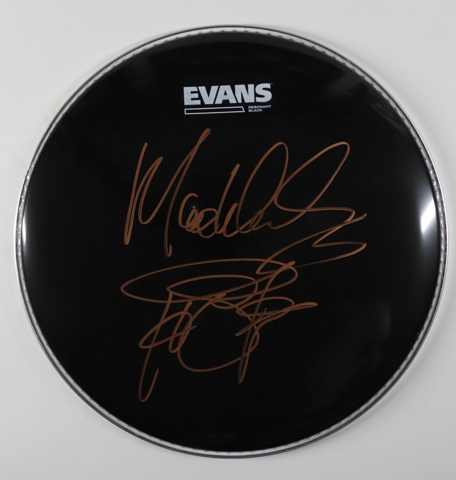 Max Weinberg  JSA  Signed Autograph Drumhead Bruce Springsteen and  the E Street