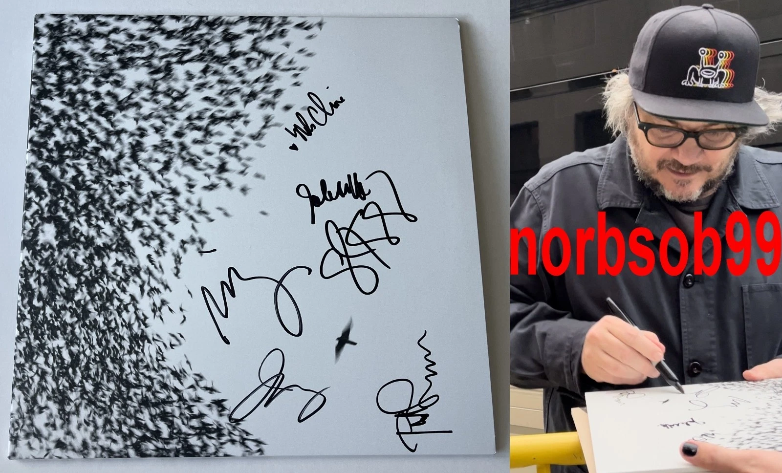 WILCO SIGNED AUTOGRAPH SKY BLUE SKY VINYL ALBUM JEFF TWEEDY +5 w/EXACT PROOF