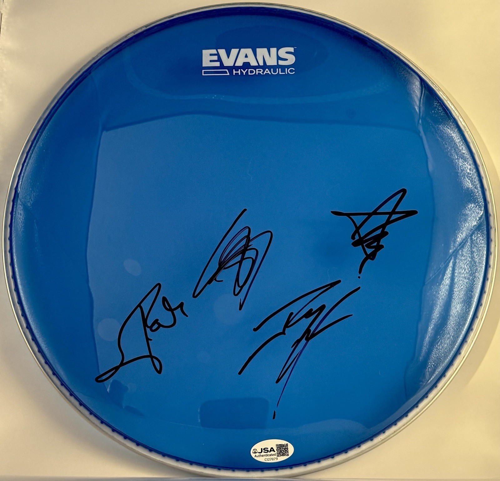 Halestorm Band Signed Autographed 12” Inch Drumhead Lzzy +3 JSA COA