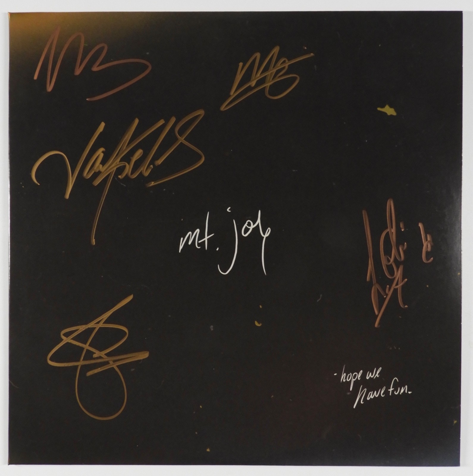 Mt Joy JSA Fully Signed Autograph Record Album Vinyl Hope We Have Fun