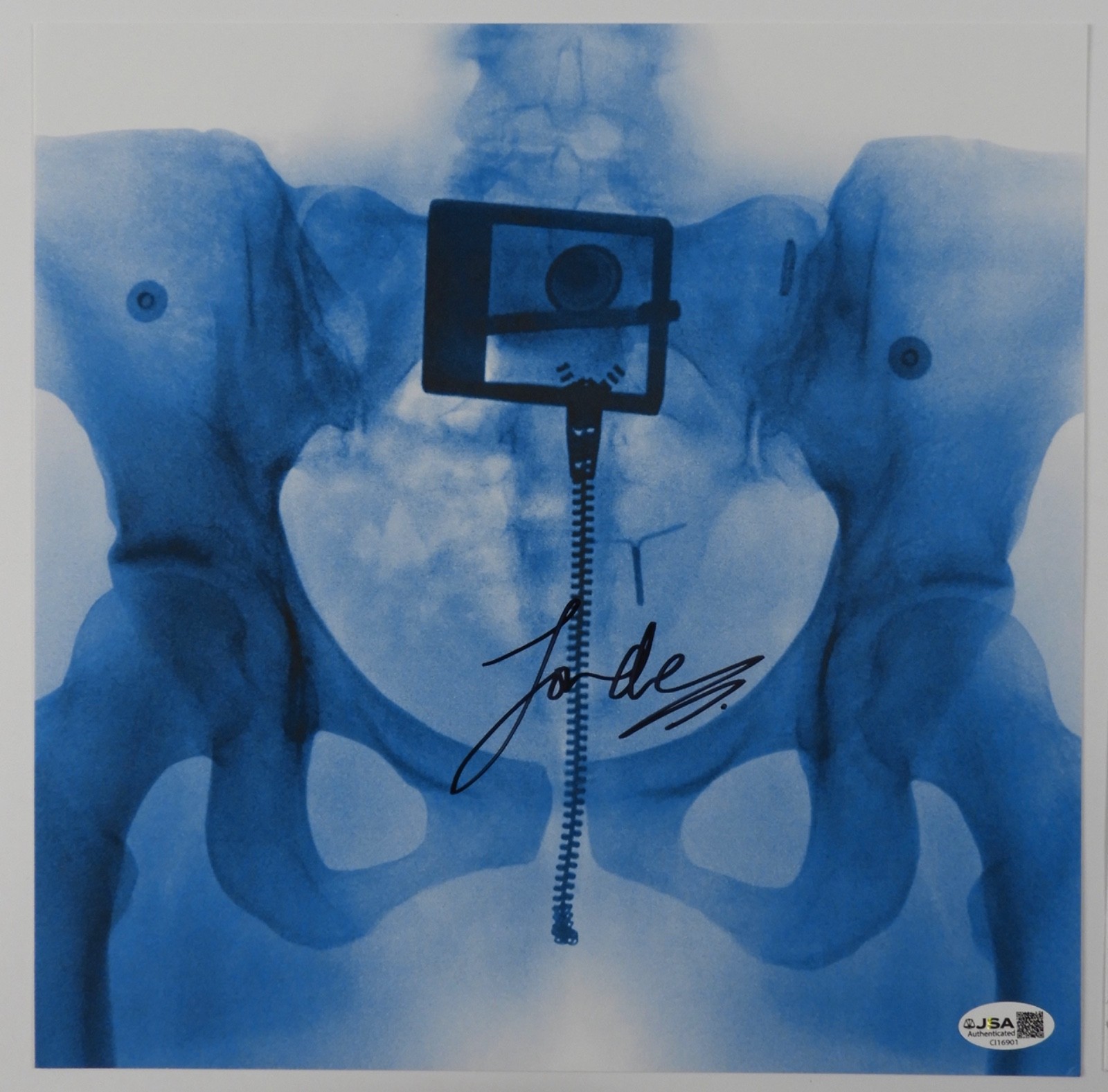 Lorde JSA Fully Signed Autograph Record Album Vinyl Insert Virgin