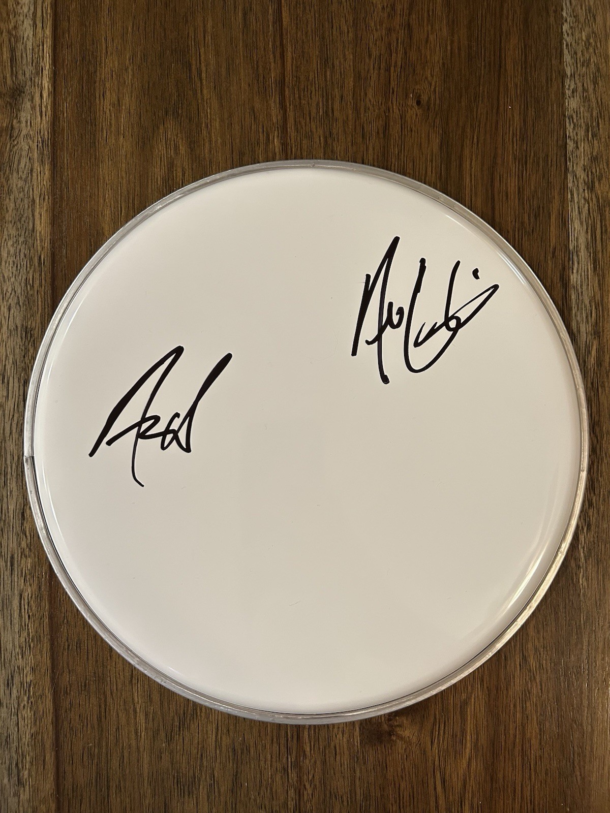 Neil Sanderson & Adam Gontier ‘Three Days Grace’ Band Signed 10” Drumhead