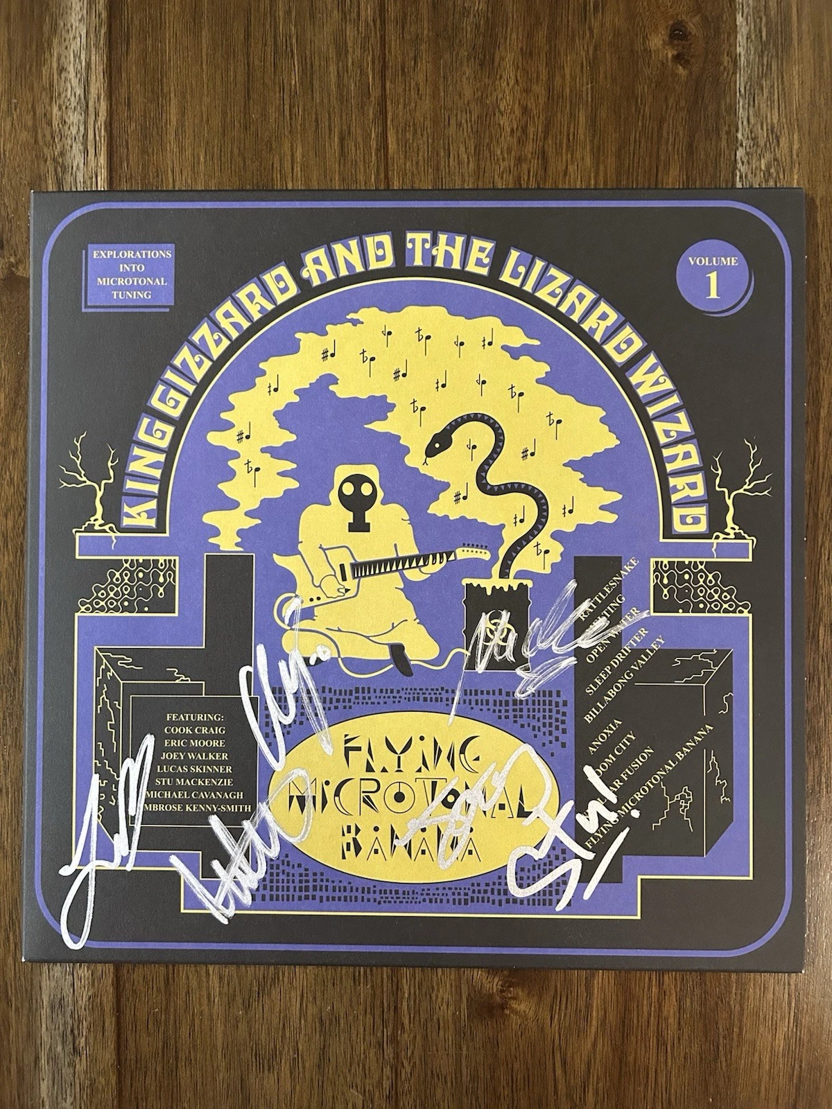 King Gizzard & The Lizard Wizard Full Band Signed Flying Microtonal Vinyl Album