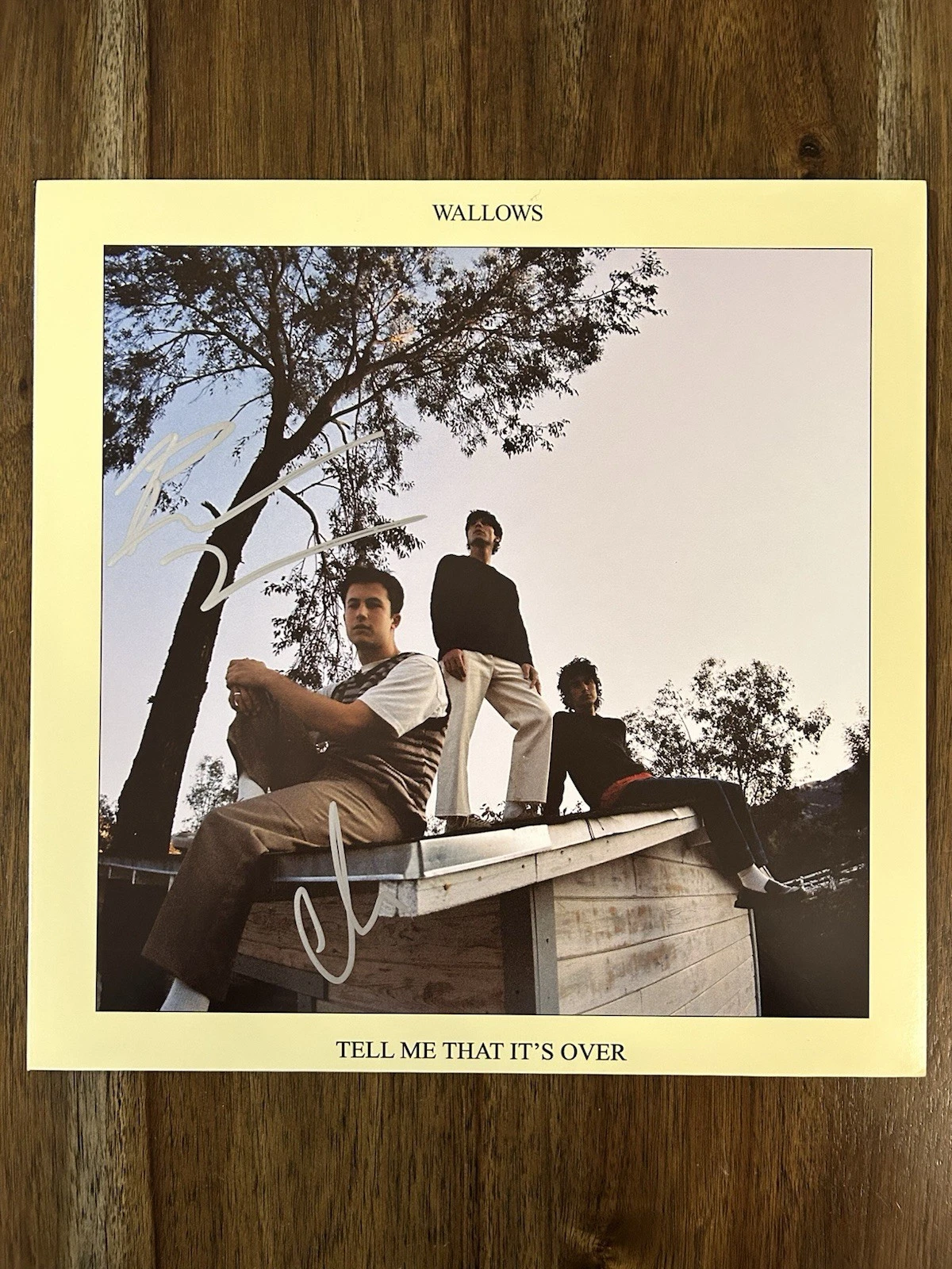 Wallows Band Signed Vinyl Album ‘Tell Me That It’s Over’ Cole & Braeden Beckett