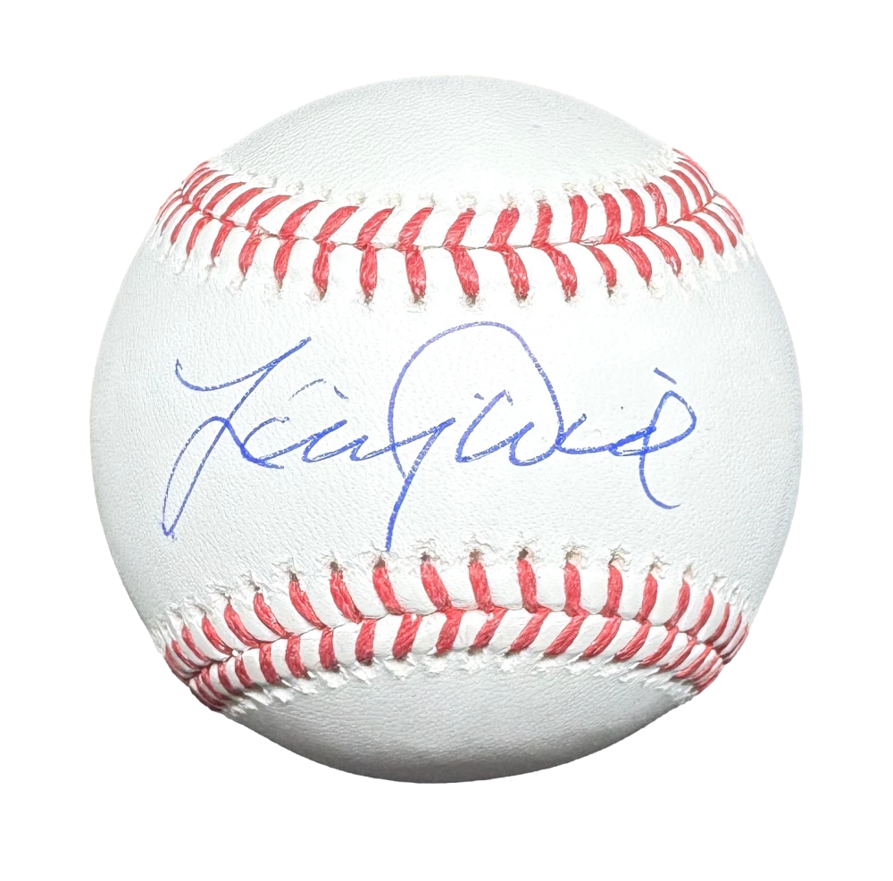 Larry David Signed Autograph OMLB Baseball Ball - Seinfeld Creator w/ PSA COA