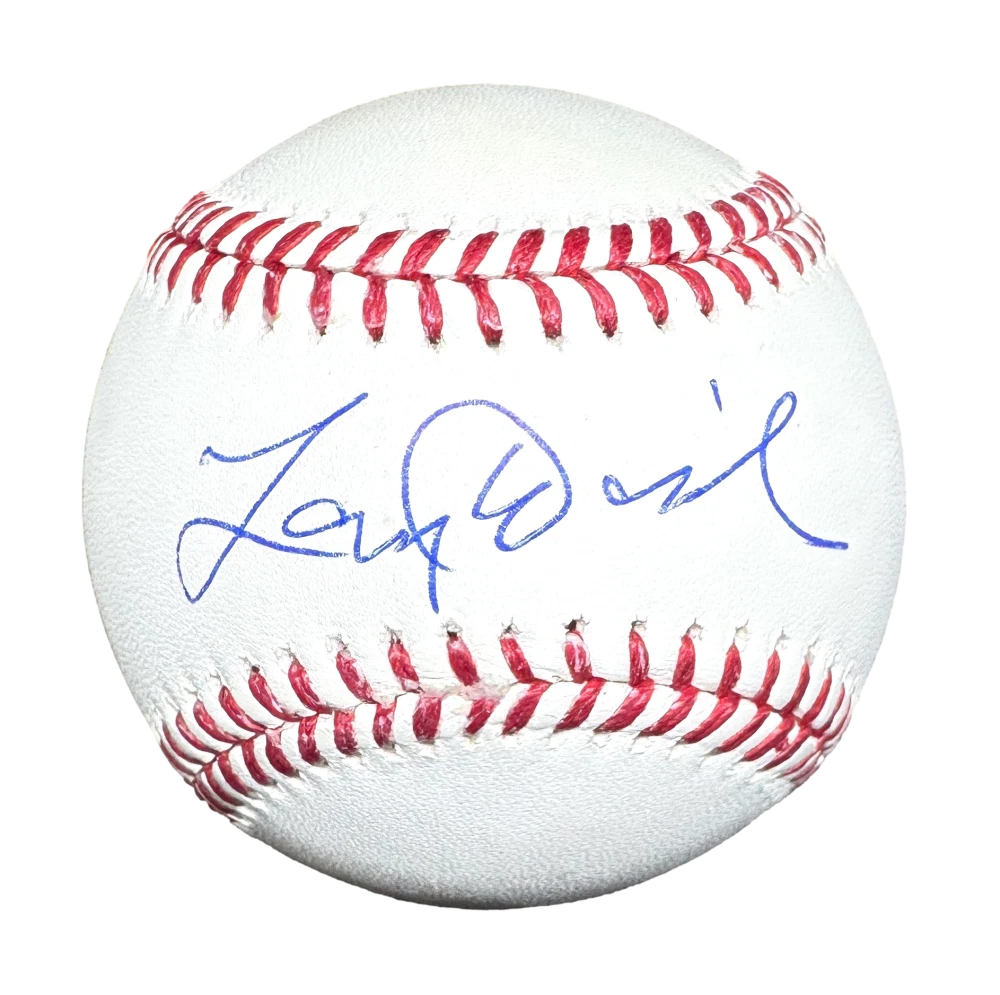 Larry David Signed Autograph OMLB Baseball Ball - Curb Your Enthusiasm PSA COA