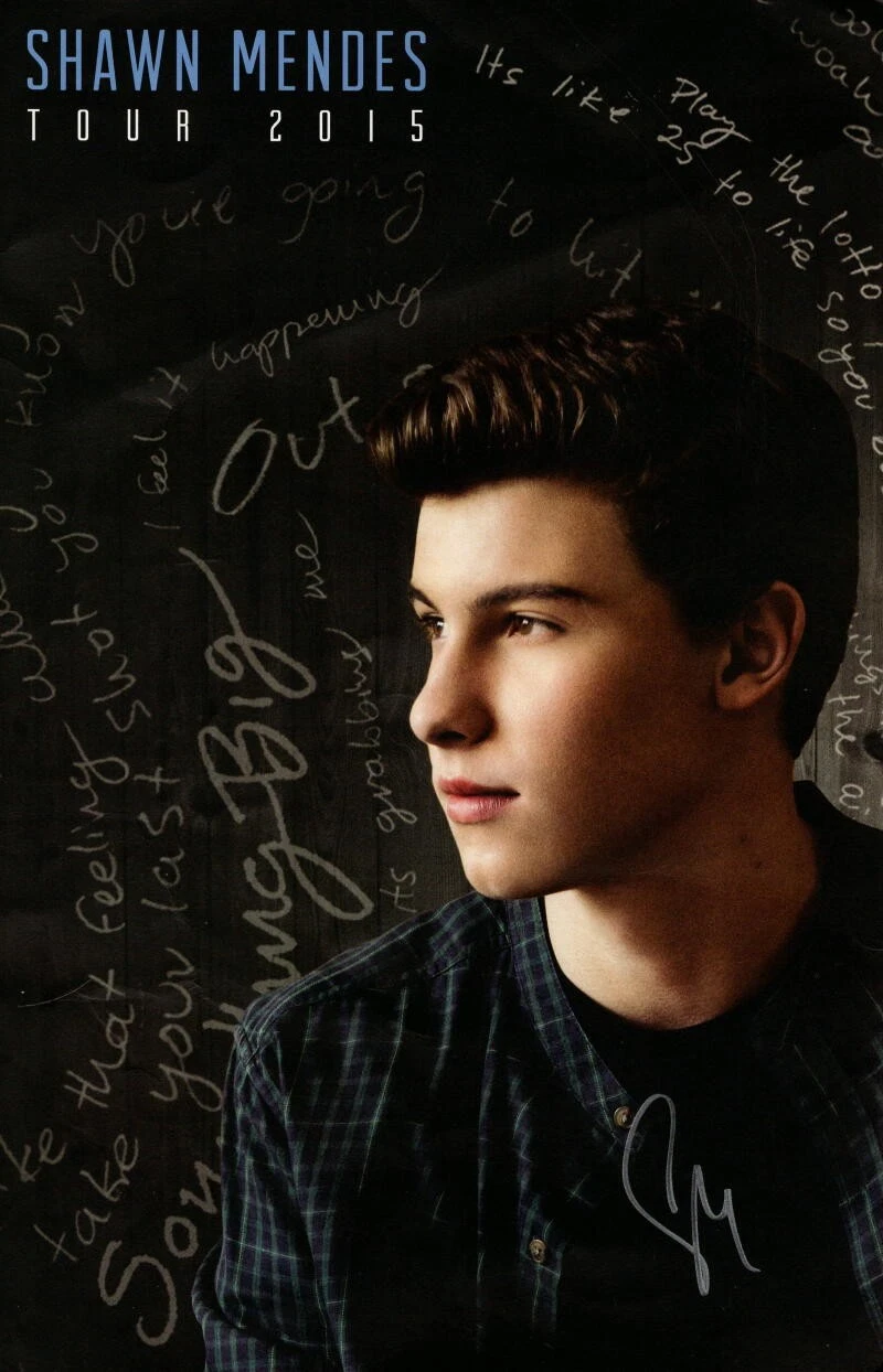 SHAWN MENDES SIGNED AUTOGRAPH 2015 TOUR CONCERT POSTER - WONDER ILLUMINATE RARE!