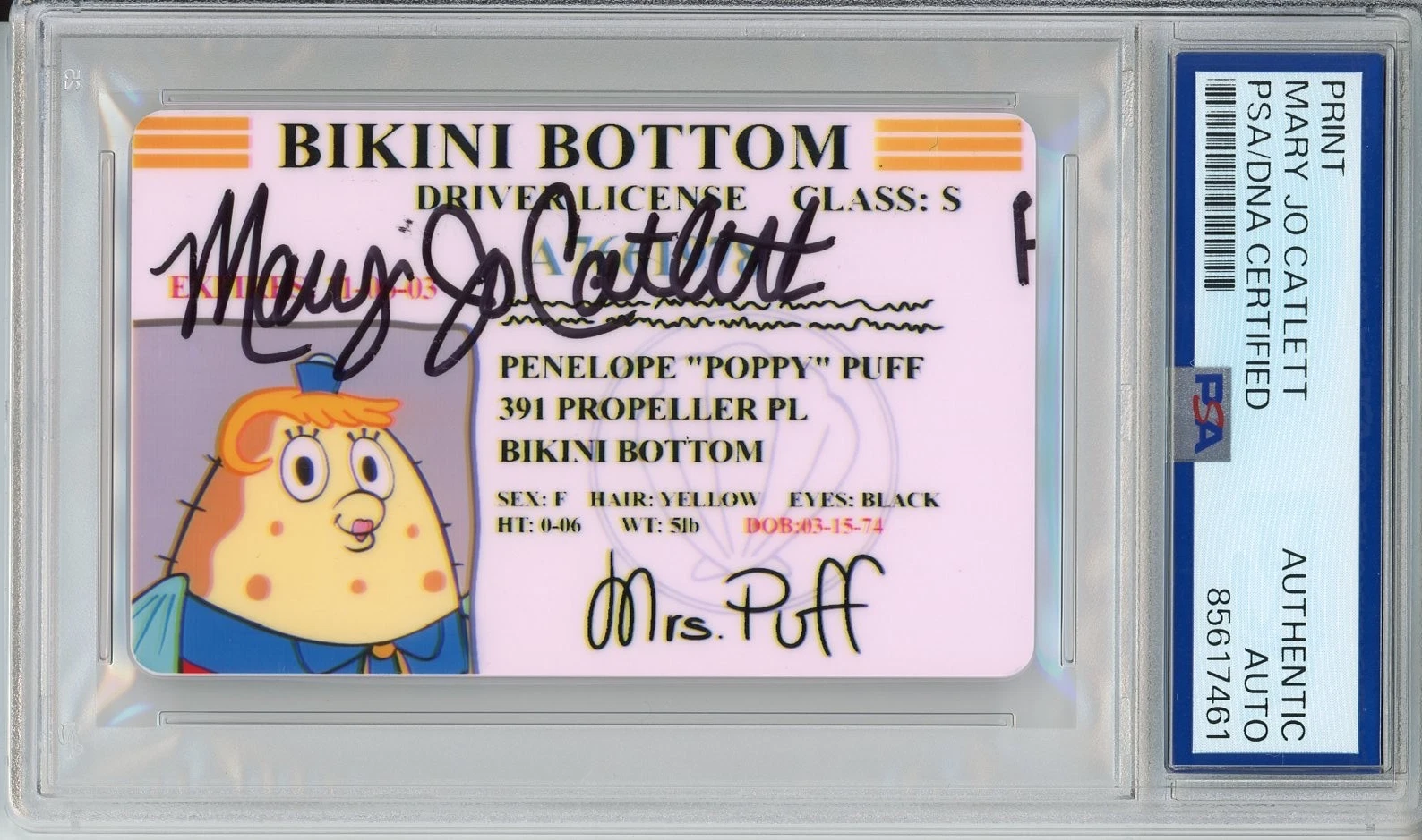 SPONGEBOB SQUAREPANTS MRS PUFF BIKINI BOTTOM SIGNED MARY JO CATLETT PSA DNA COA