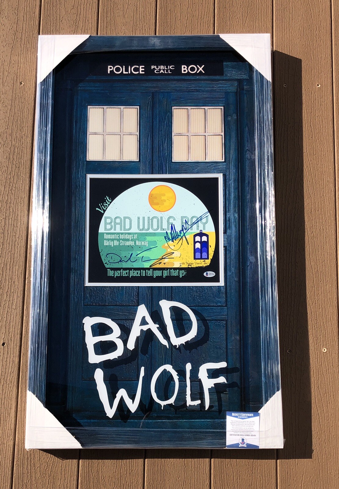 David Tennant & Billie Piper Signed Doctor Who T.A.R.D.I.S. Framed Signed Print