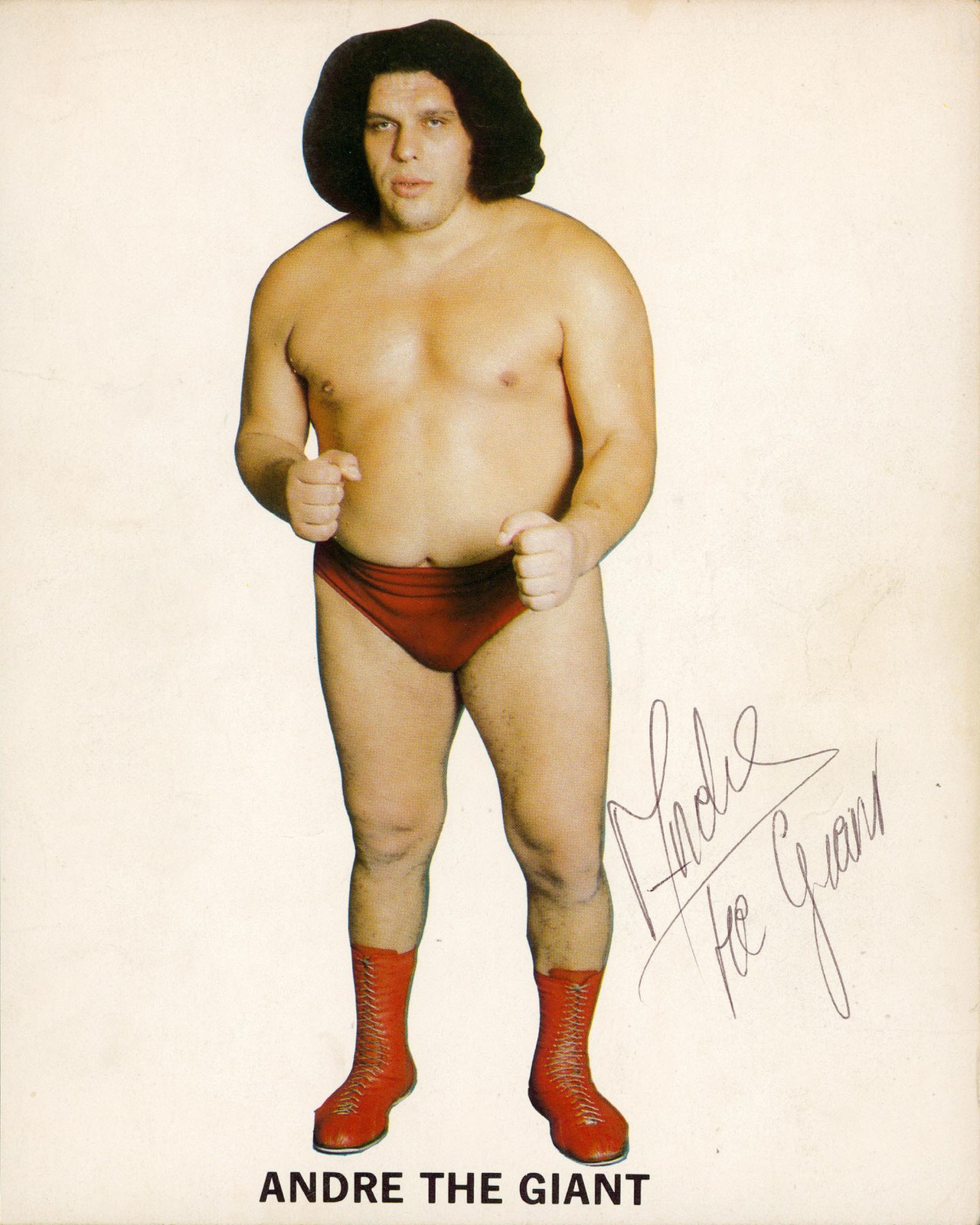 Andre The Giant Authentic Signed 8x10 Vertical Photo Autographed JSA #ZZ67310