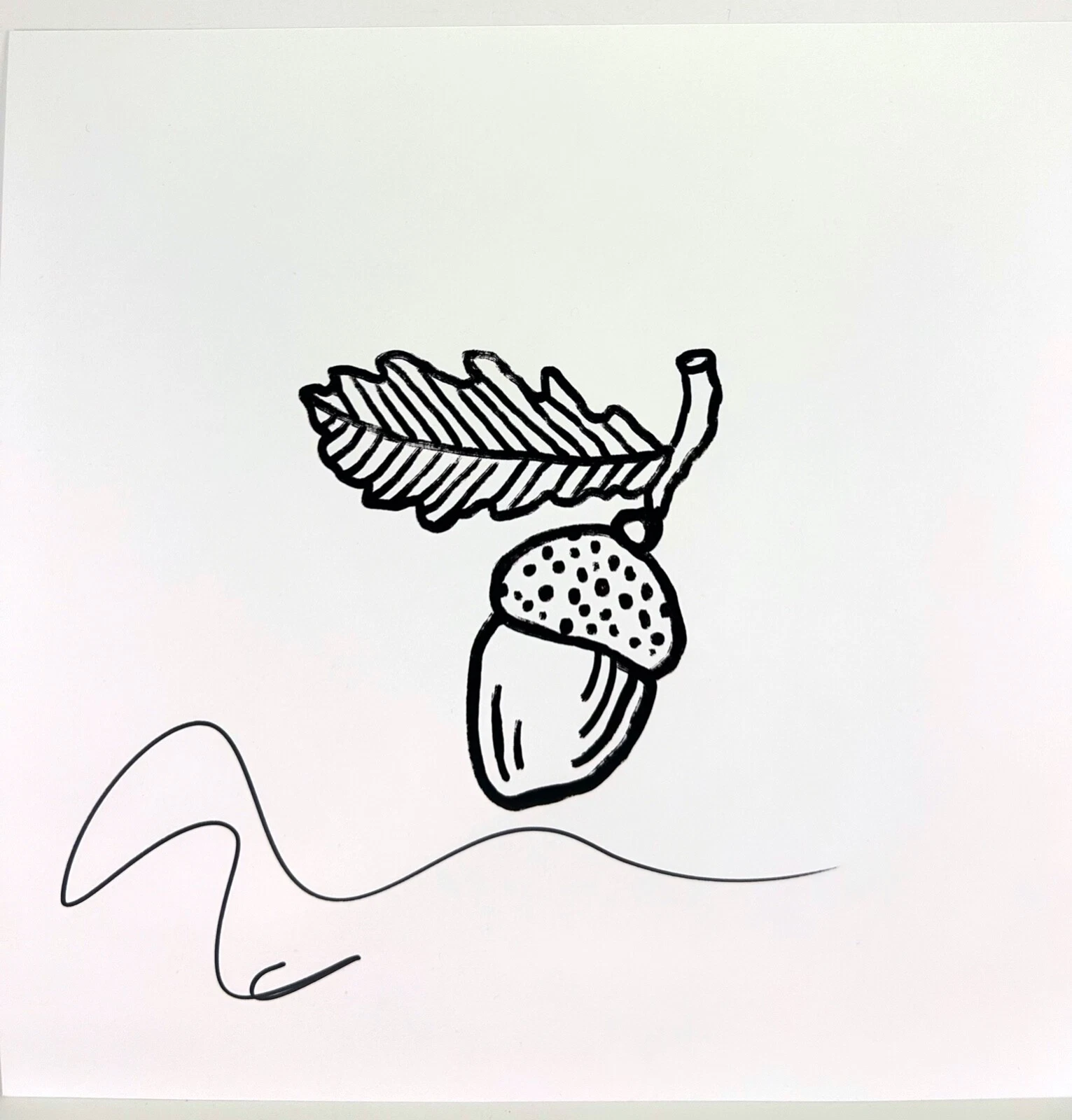 ED SHEERAN Signed Autograph 