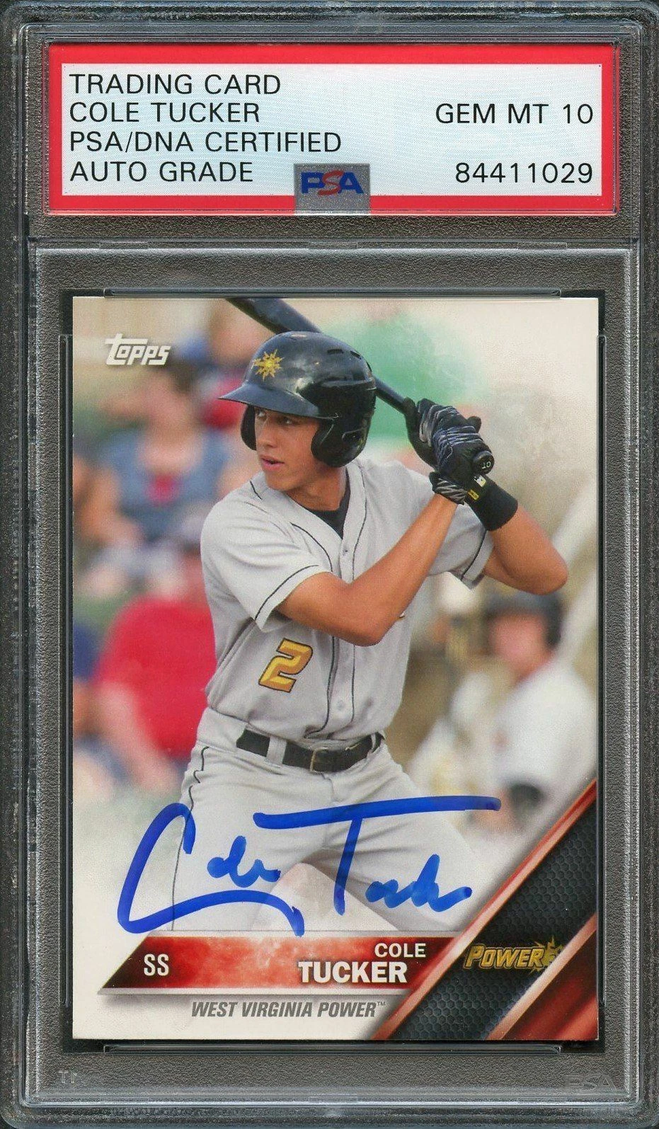 2016 Topps Pro Debut #194 Cole Tucker Signed Card PSA Slabbed Auto Grade 10 Pira
