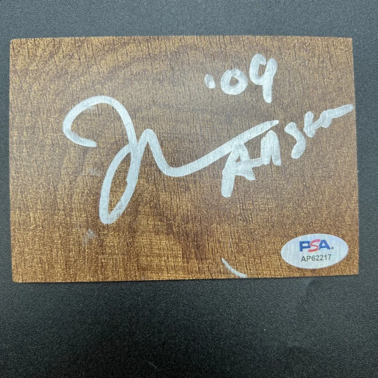 Jameer Nelson Signed Floorboard PSA Autographed Orlando Magic