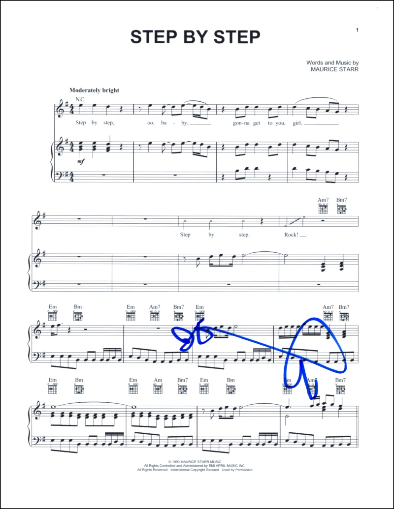 Donnie Wahlberg New Kids on the Block Signed Autograph Step by Step Sheet Music