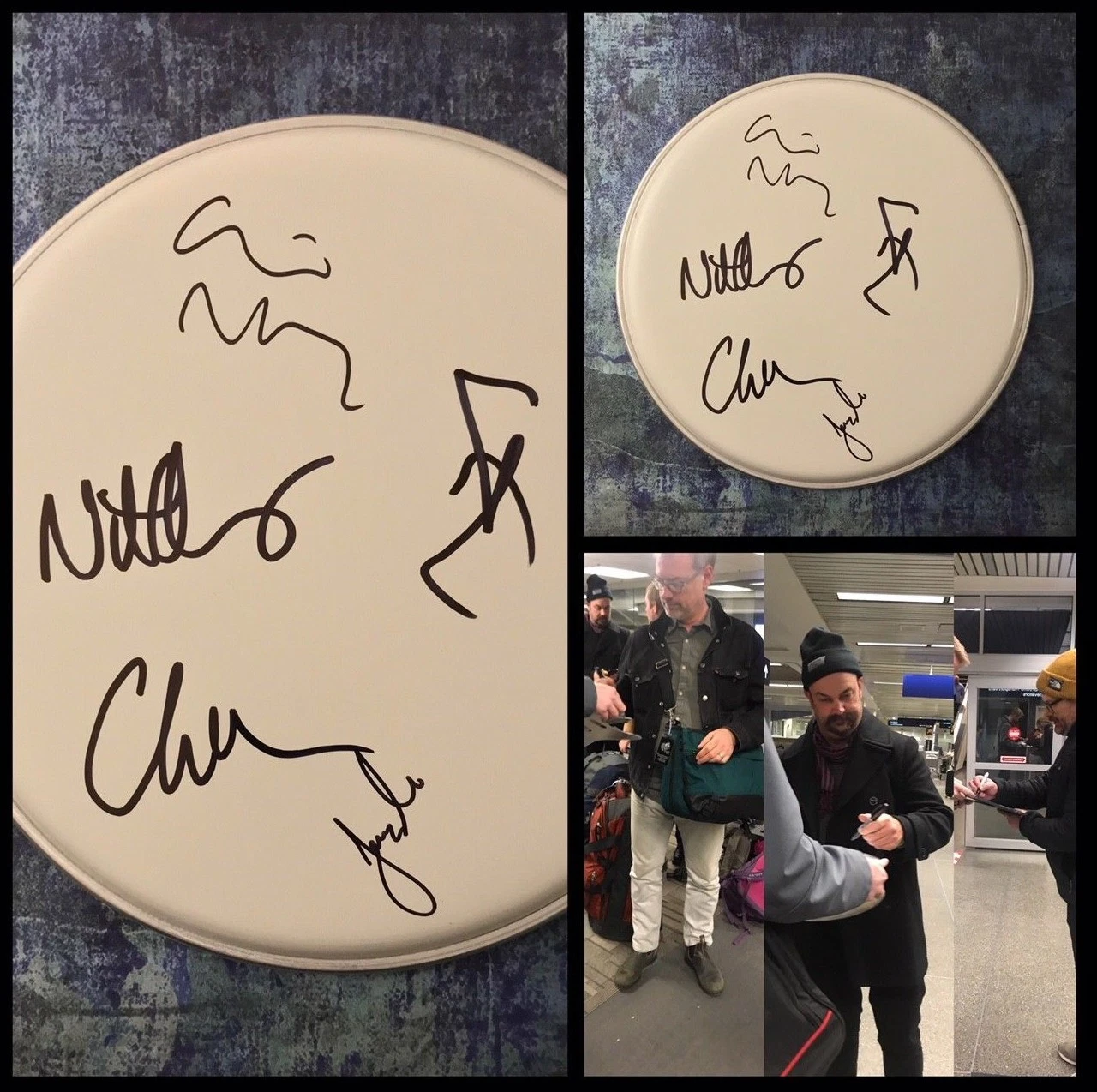 GFA Colin Meloy x5 Band * The DECEMBERISTS * Signed 10