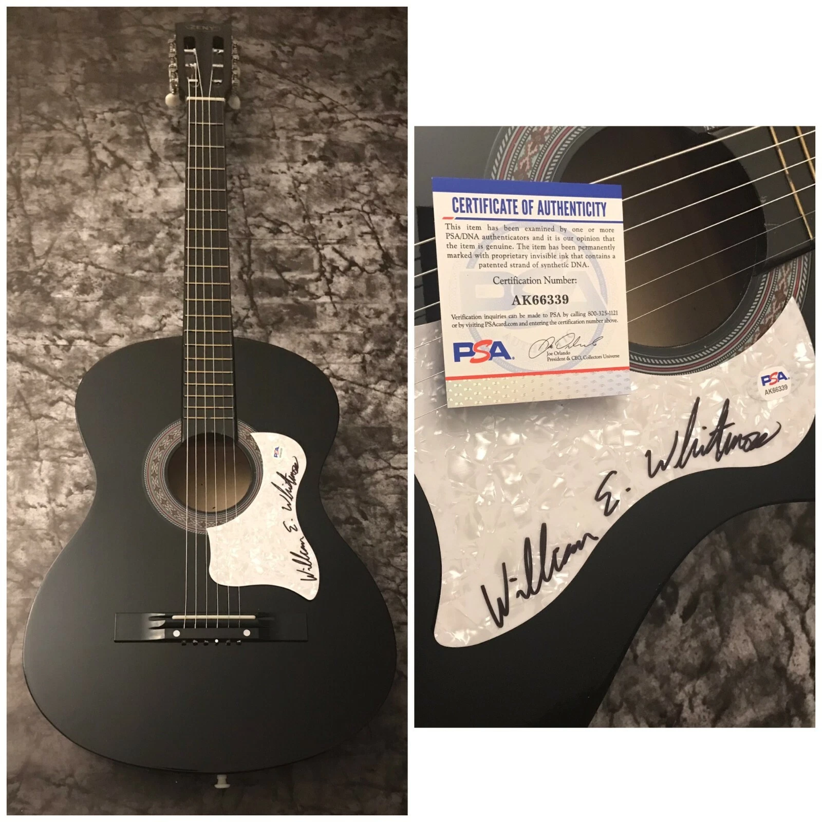 PSA  Animals in the Dark * WILLIAM ELLIOTT WHITMORE * Signed Acoustic Guitar COA