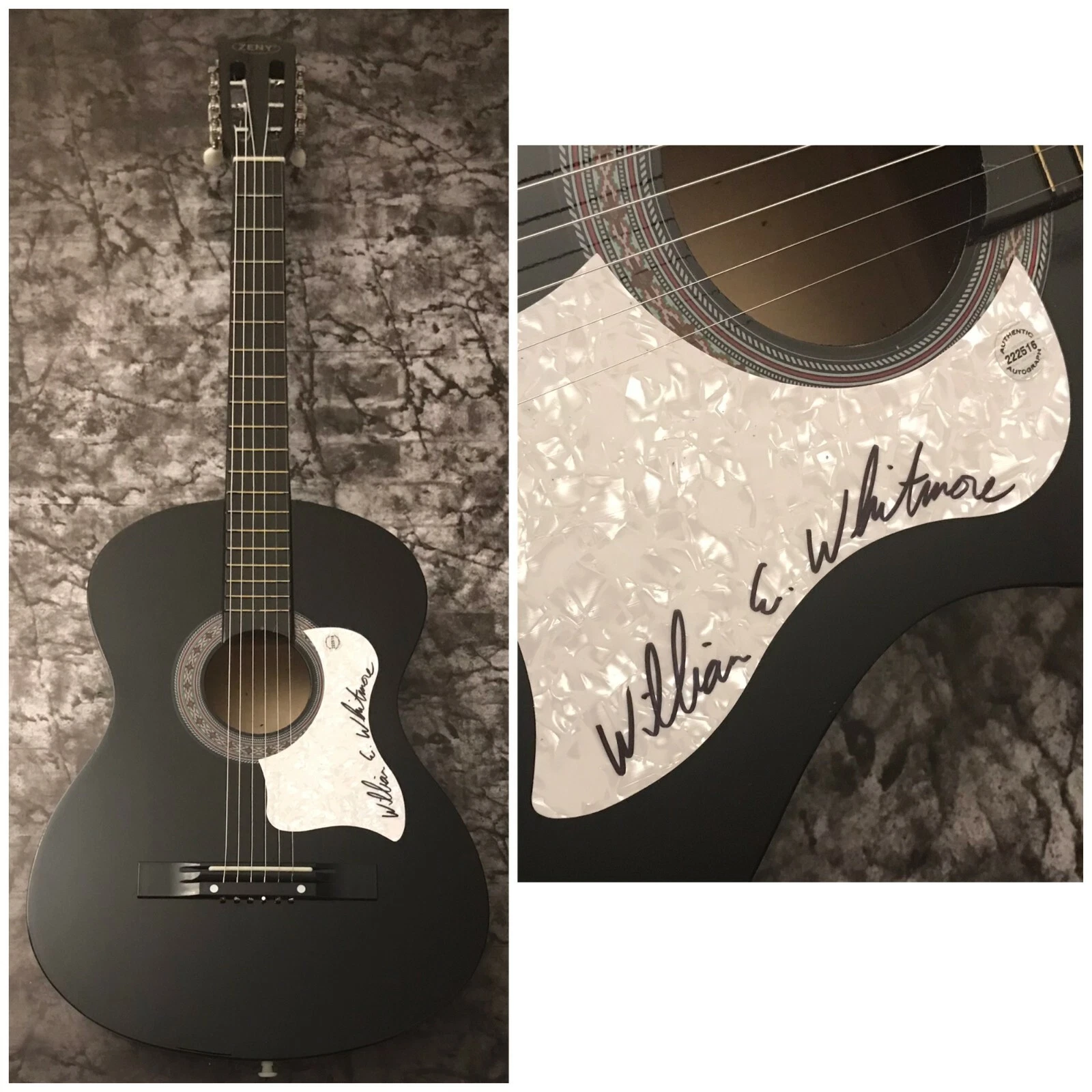 GFA Animals in the Dark  * WILLIAM ELLIOTT WHITMORE * Signed Acoustic Guitar COA