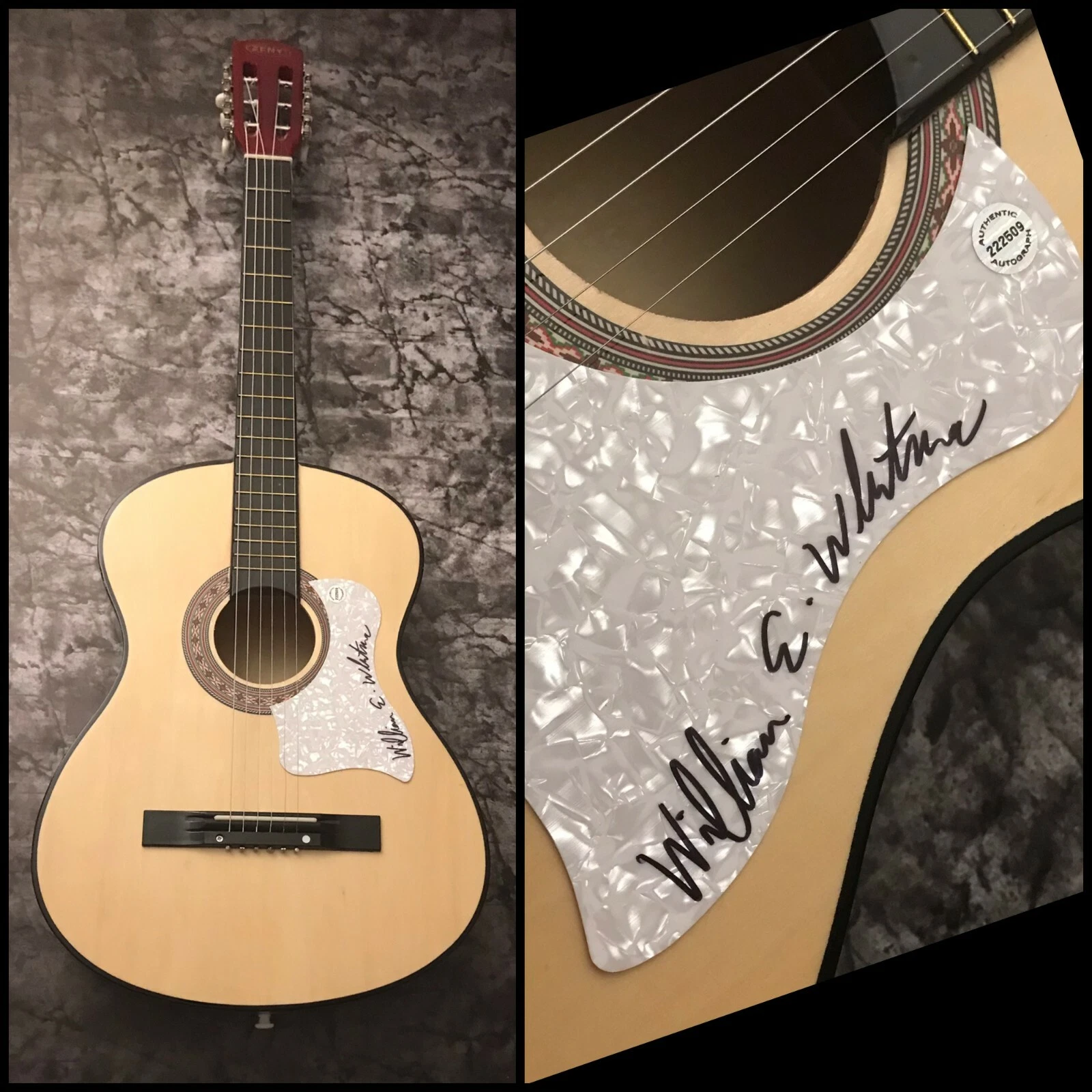 GFA Animals in the Dark * WILLIAM ELLIOTT WHITMORE *  Signed Acoustic Guitar COA