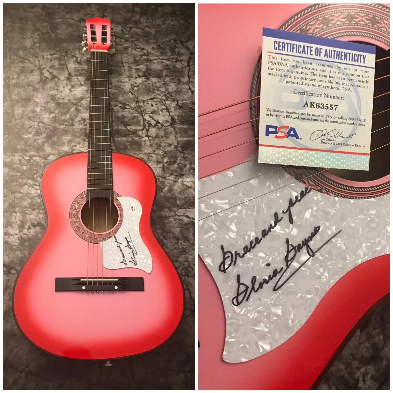 PSA I Will Survive R&B Star * GLORIA GAYNOR * Signed Acoustic Guitar COA