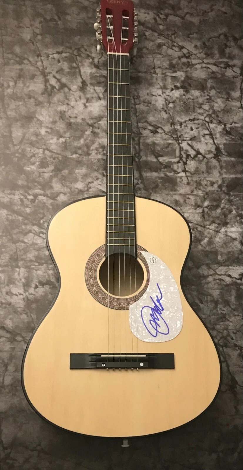 GFA Boots on a Dance Floor * JON WOLFE * Signed Acoustic Guitar PROOF J4 COA