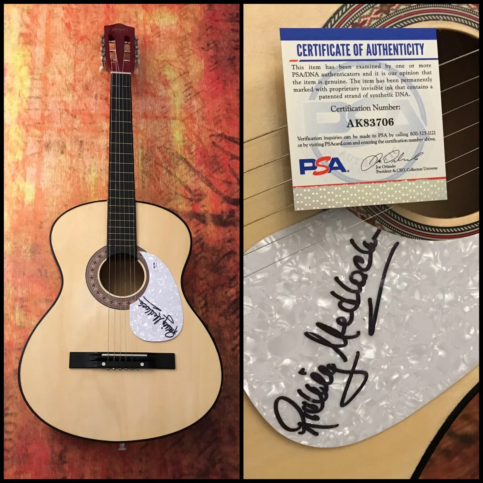 PSA Lynyrd Skynyrd Guitarist  * RICKEY MEDLOCKE * Signed Acoustic Guitar COA