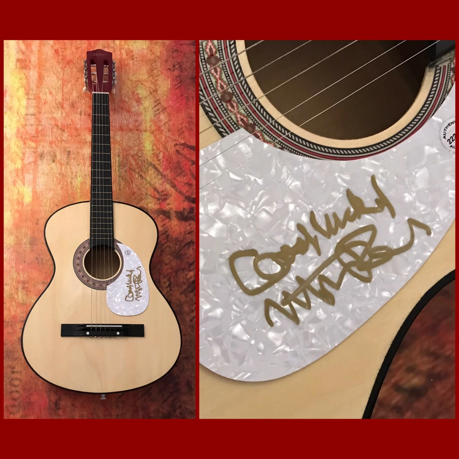 GFA Jenny Take a Ride  * MITCH RYDER *  Signed Acoustic Guitar M1 COA