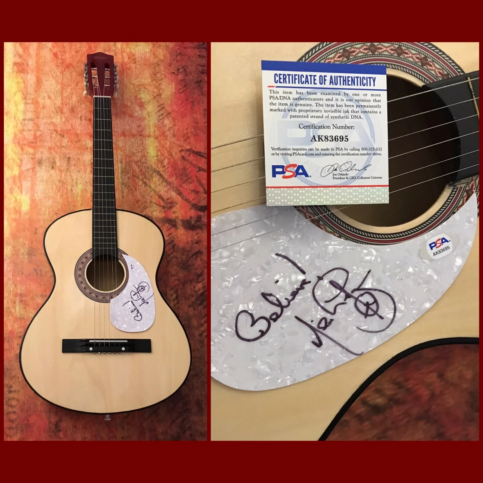PSA  E-Street Band Guitarist  * NILS LOFGREN *  Signed Acoustic Guitar COA