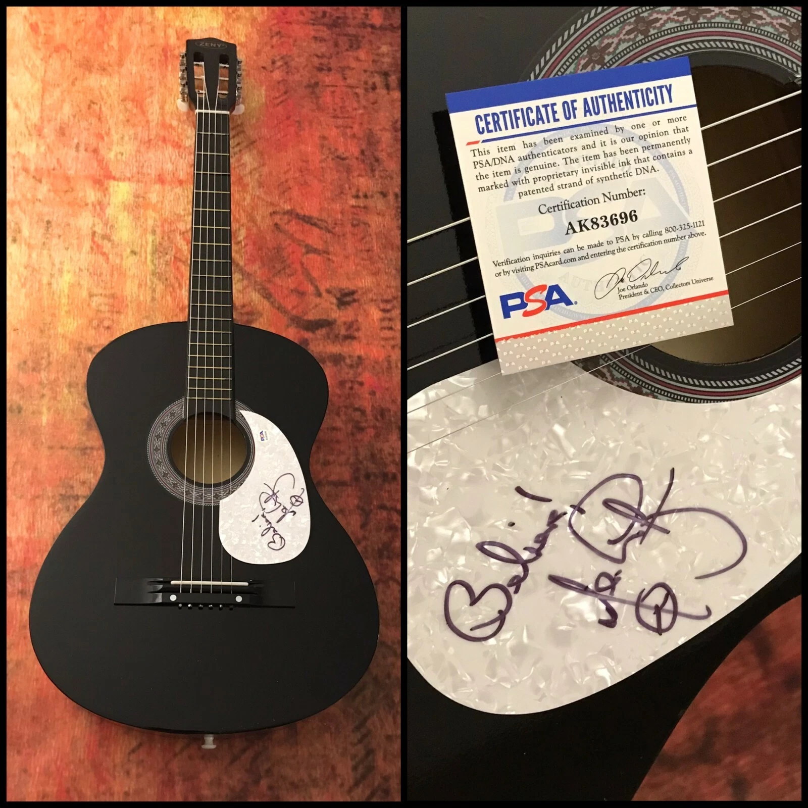 PSA  E-Street Band Guitarist  * NILS LOFGREN *  Signed Acoustic Guitar  COA