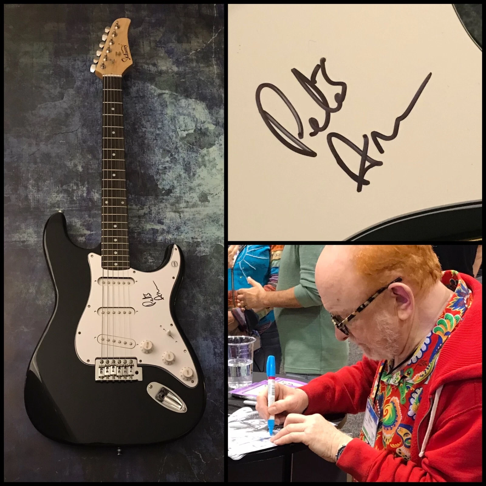 GFA  A World Without Love  * PETER ASHER *  Signed Electric Guitar PROOF COA