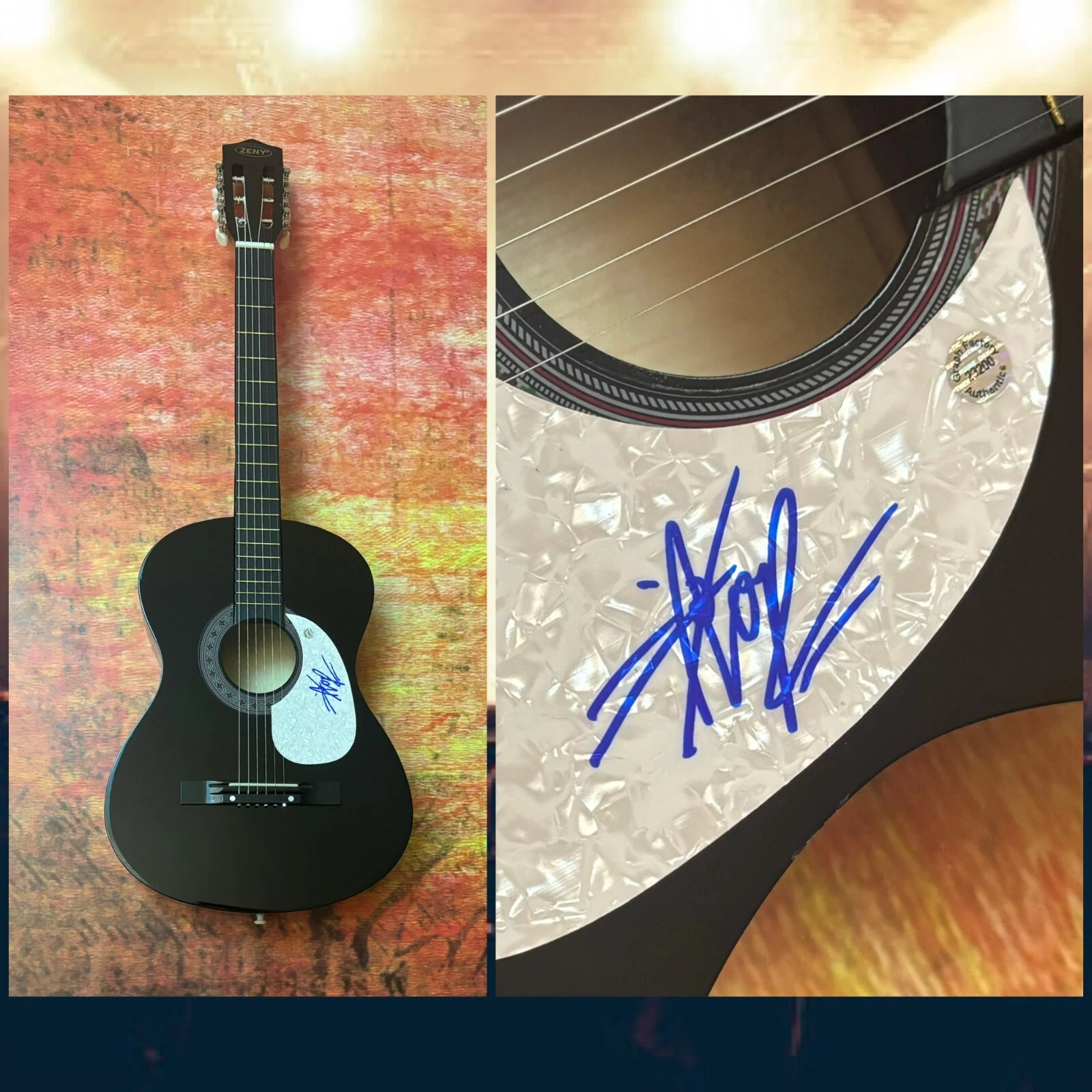 GFA  Hiatus Kaiyote Band Singer  * NAI PALM *  Signed Acoustic Guitar PROOF COA