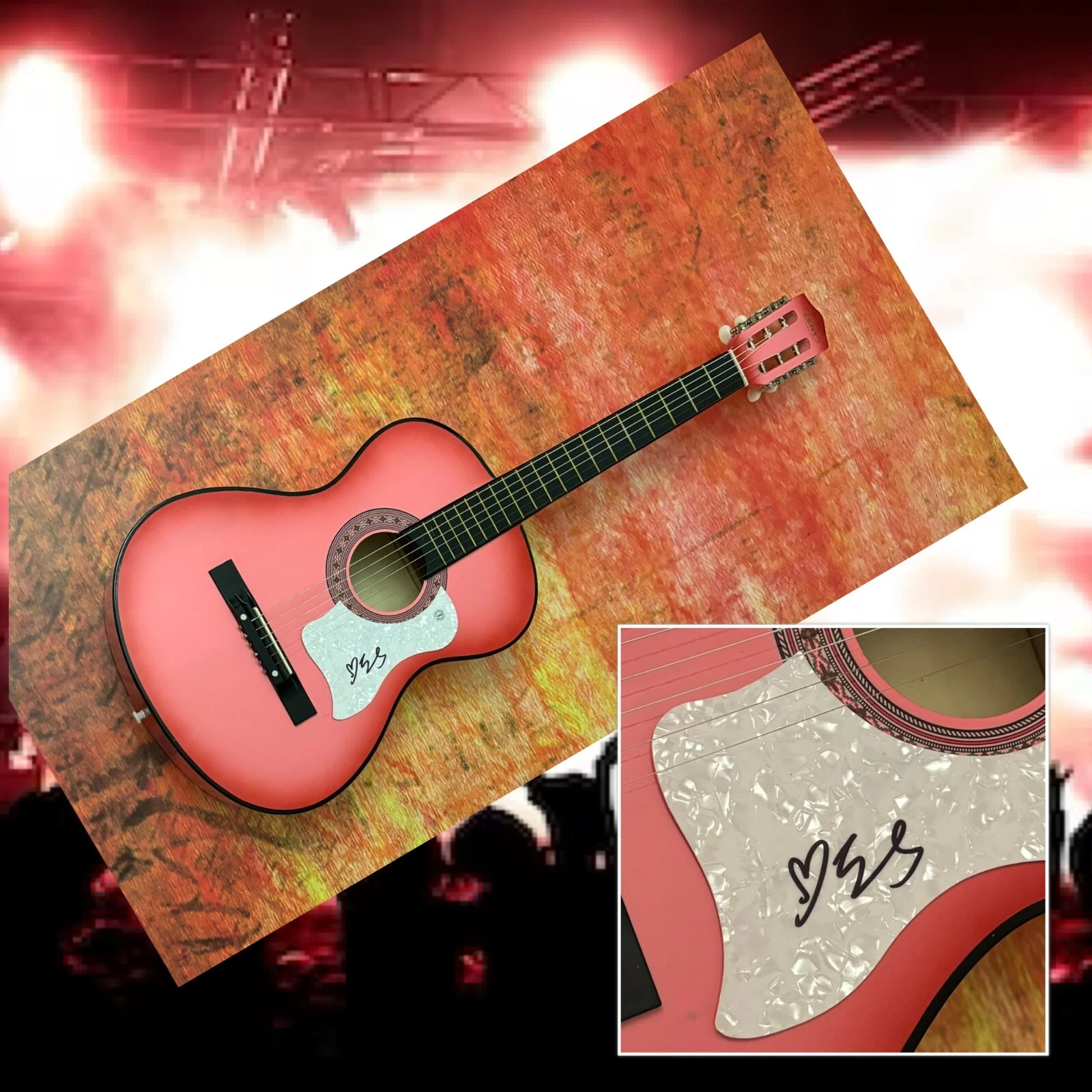 GFA Indigo Girls Band Star  * EMILY SALIERS *  Signed Acoustic Guitar COA