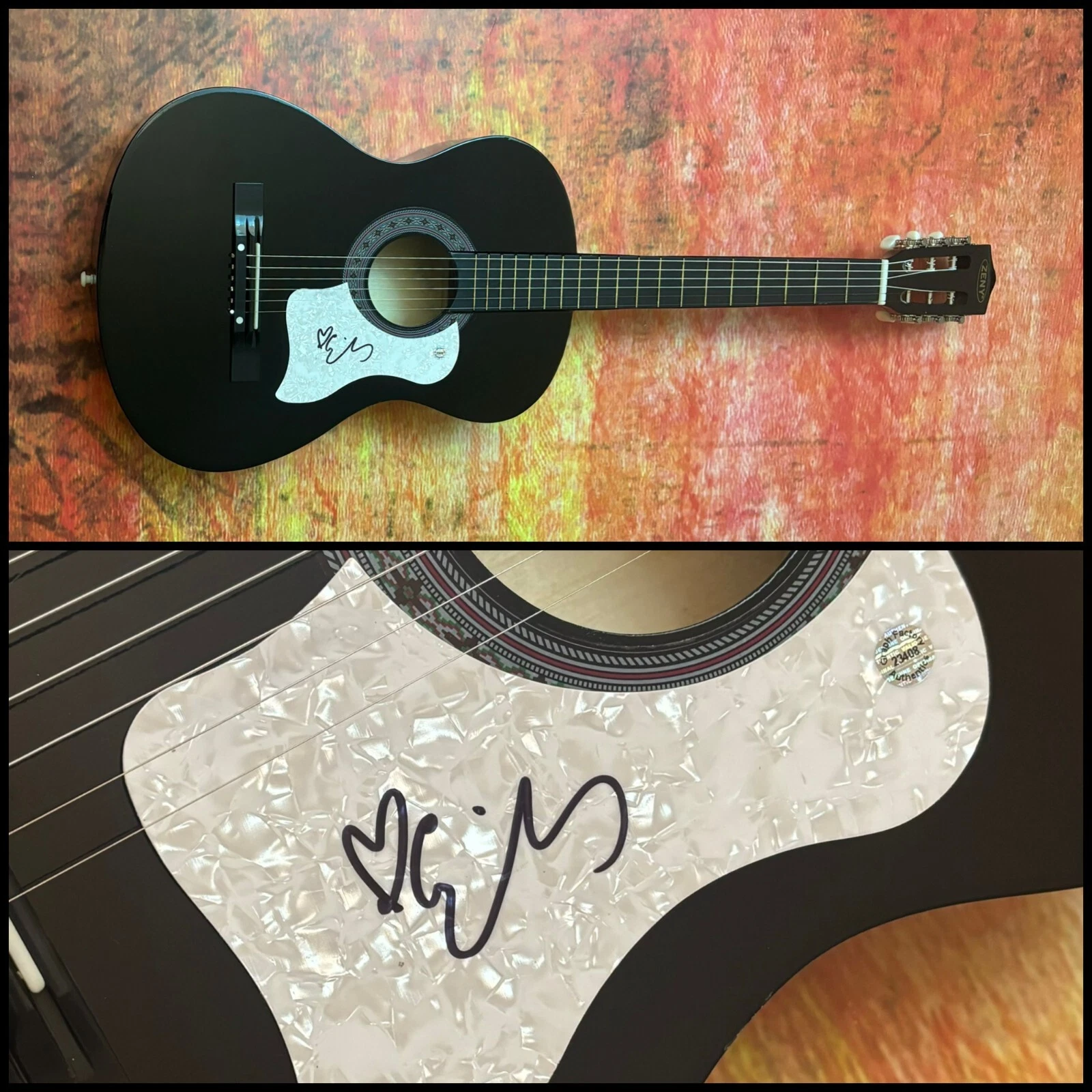 GFA Indigo Girls Band Star  * EMILY SALIERS *  Signed Acoustic Guitar COA