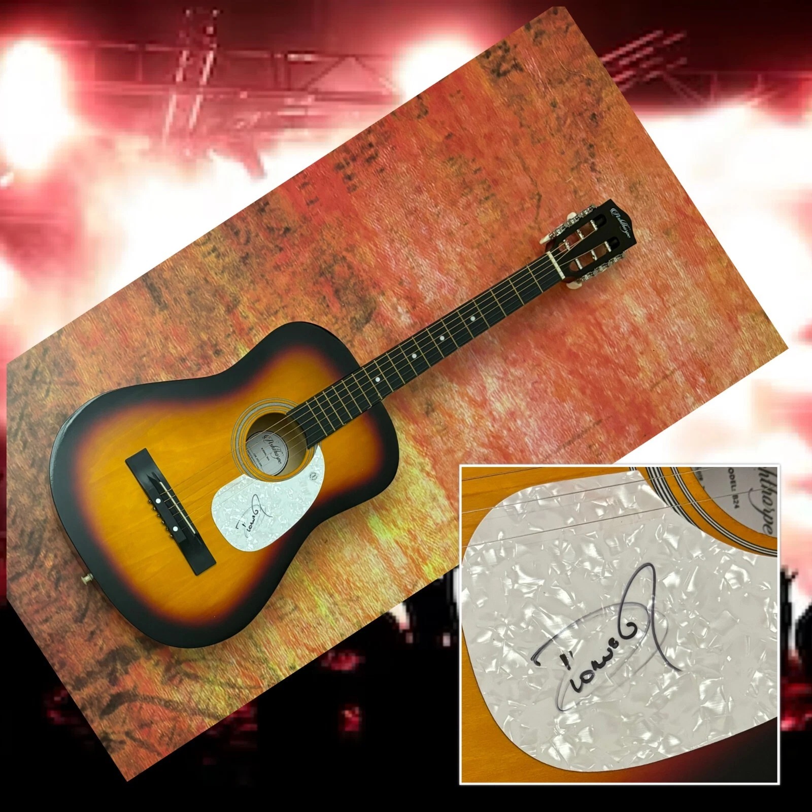 GFA That's What Fiends Are For  * DIONNE WARWICK * Signed Acoustic Guitar D4 COA