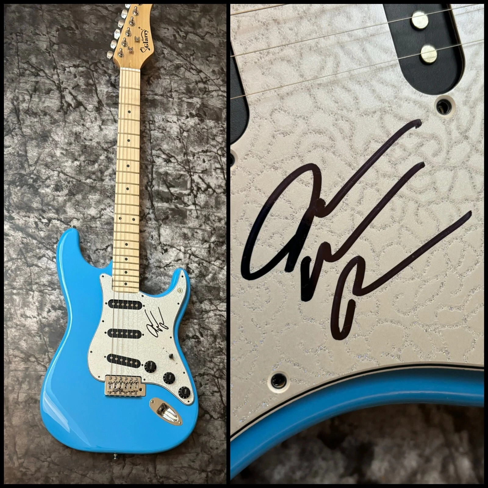 GFA I'll Stand By You Star  * JAKE WESLEY ROGERS * Signed Electric Guitar J5 COA