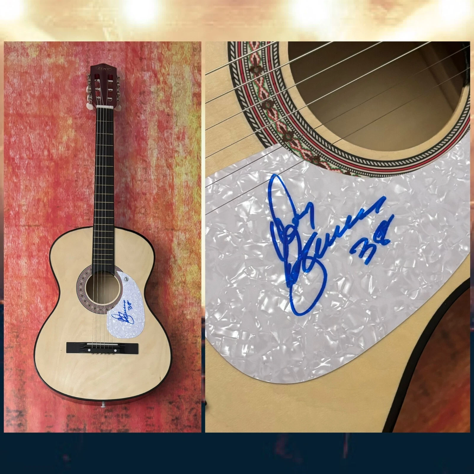 GFA 38 Special Band Singer  * DON BARNES *  Signed Acoustic Guitar PROOF COA