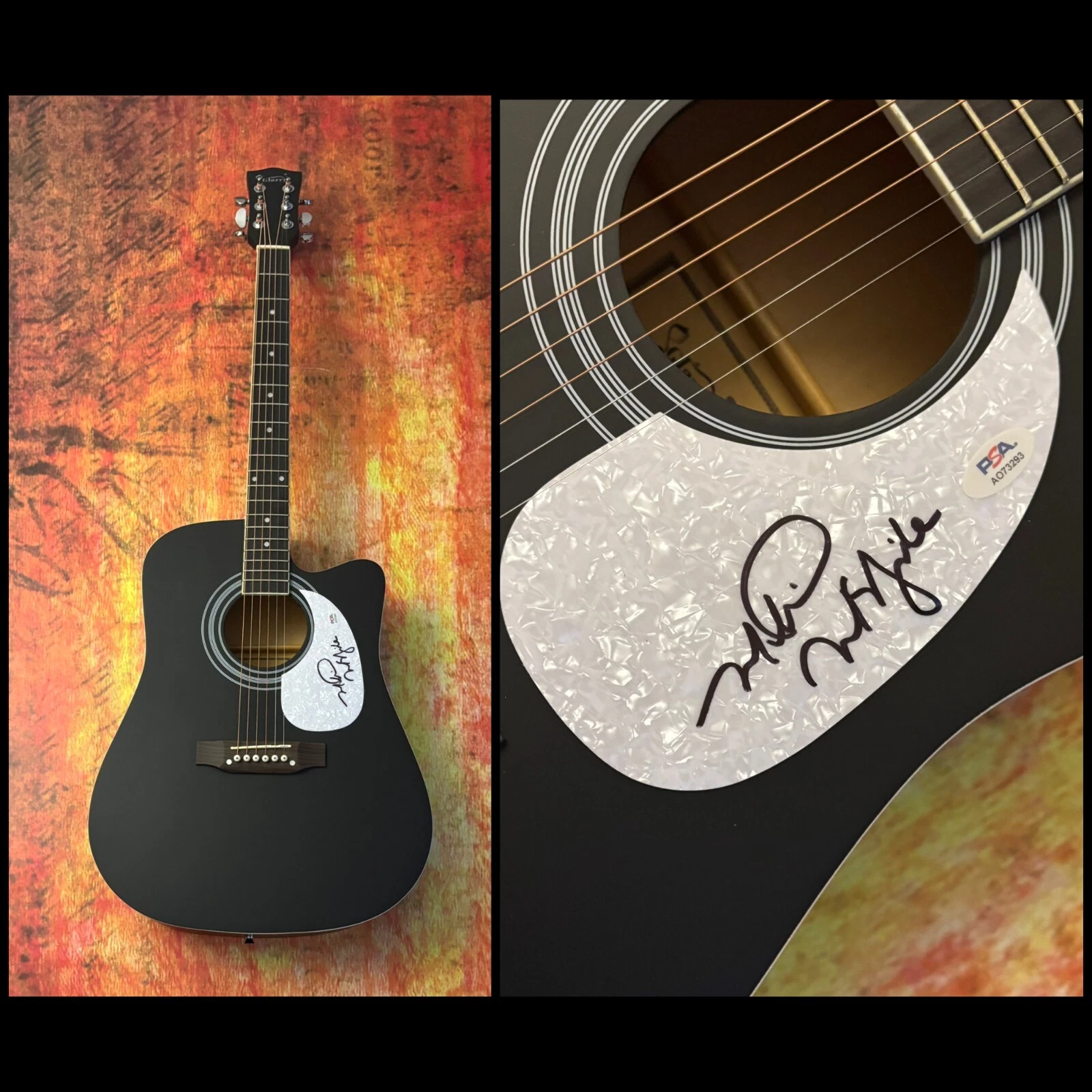 PSA Independence Day Singer  * MARTINA McBRIDE *  Signed 41