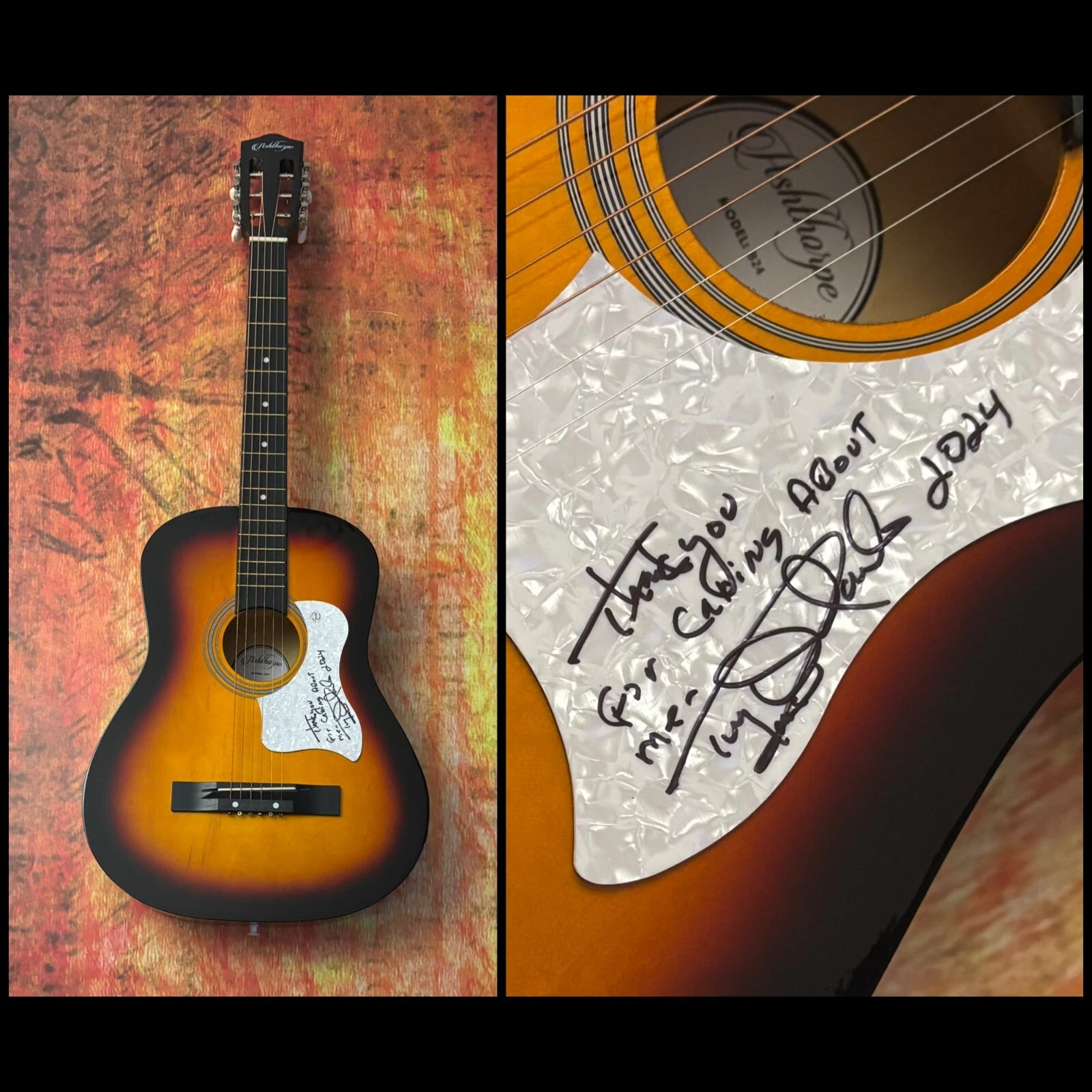GFA Candida Star and Dawn  * TONY ORLANDO *  Signed Acoustic Guitar COA