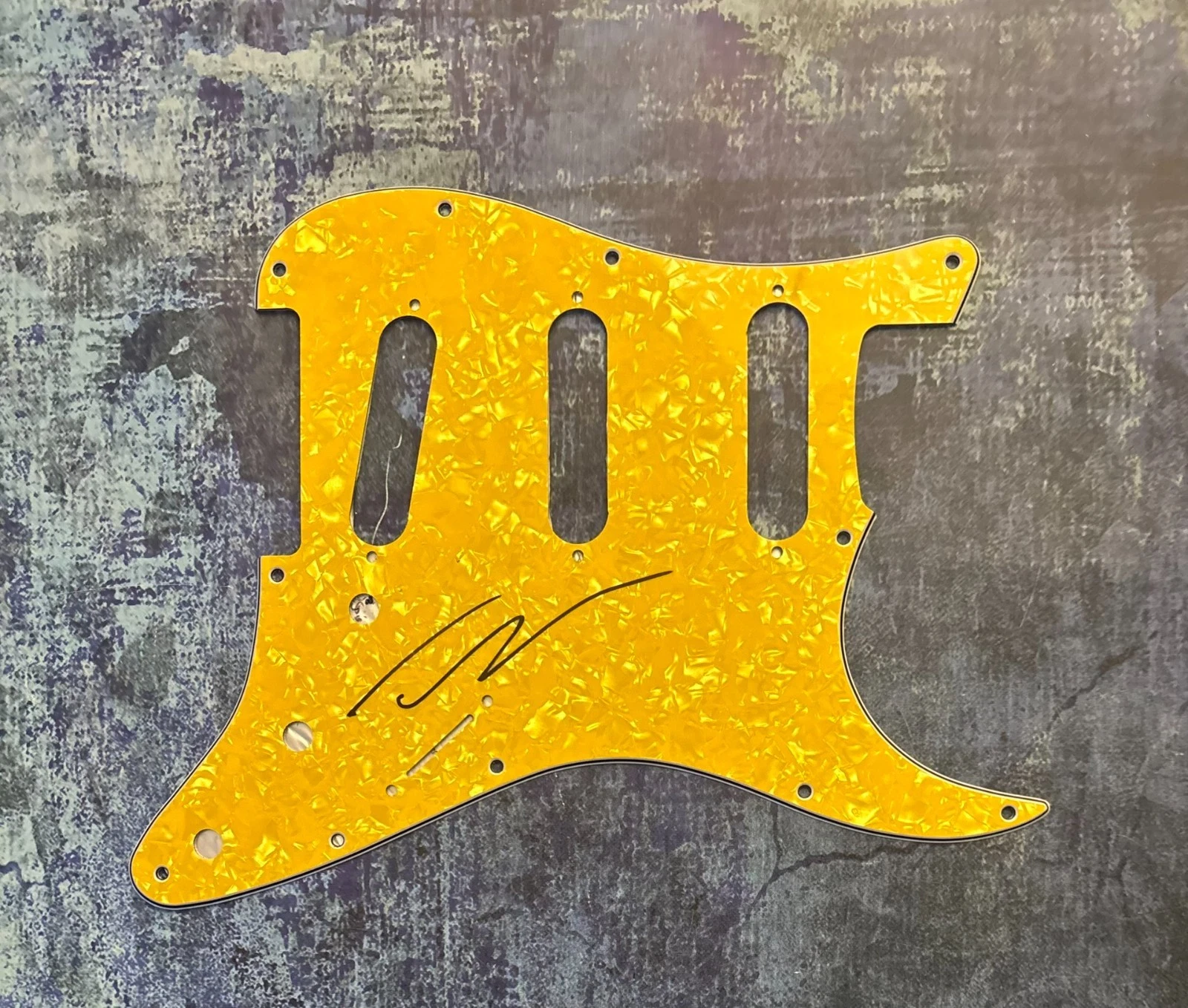 GFA Known Hills and Valleys  * TAUREN WELLS *  Signed Electric Pickguard COA