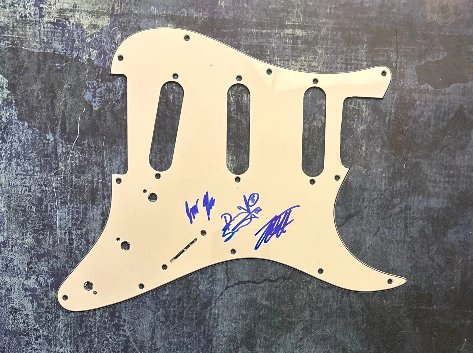 GFA David Simonich Band  * SIGNS OF THE SWARM *  Signed Electric Pickguard COA