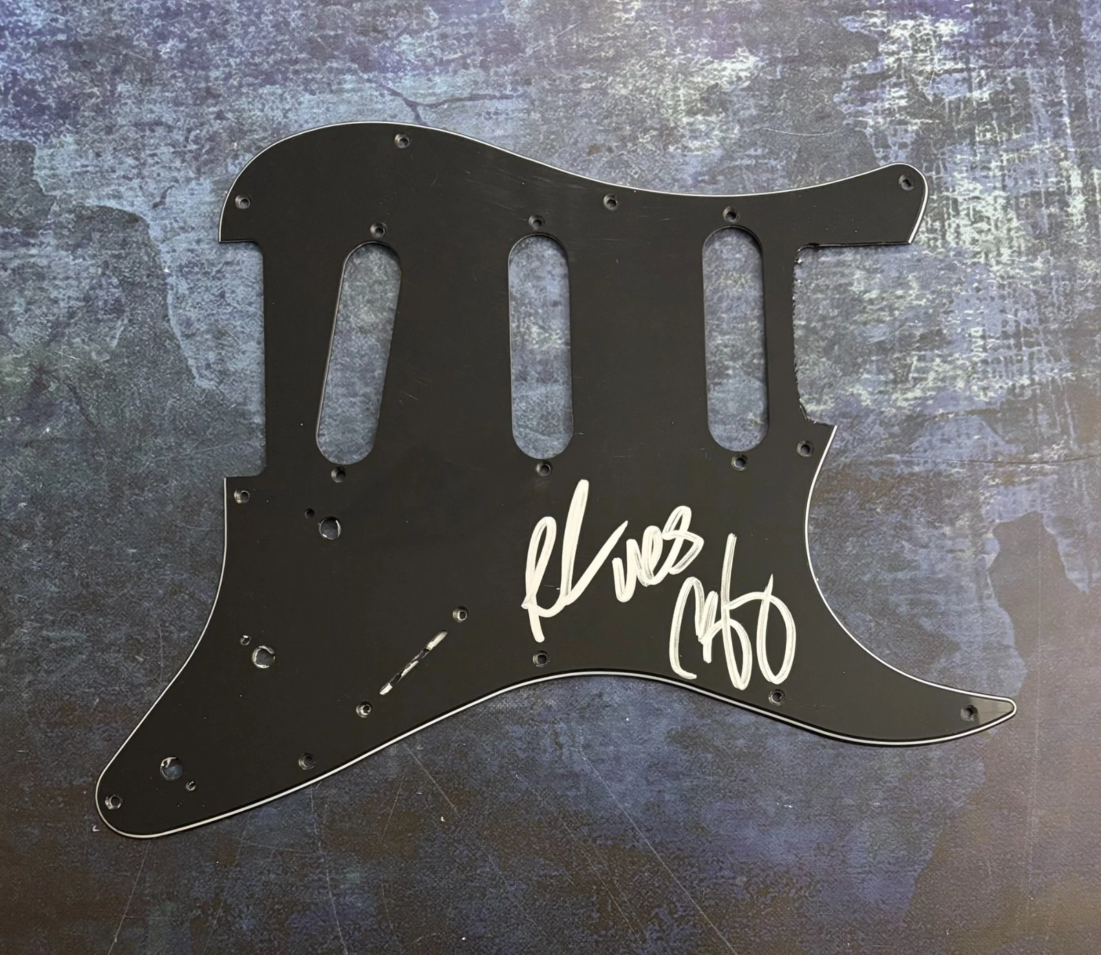 GFA Uncle Snap & Rooster Duo * THE LACS * Signed Electric Pickguard COA