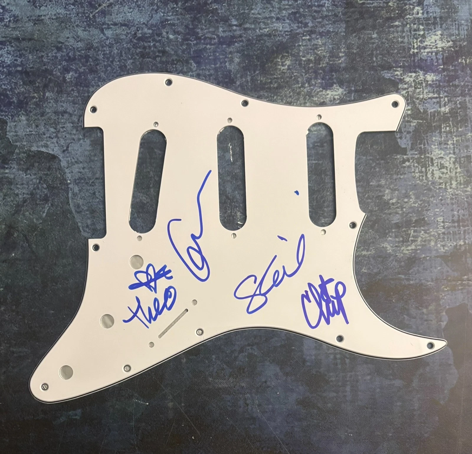 GFA Theo Kogan x4 Band  * LUNACHICKS *  Signed Electric Pickguard PROOF COA
