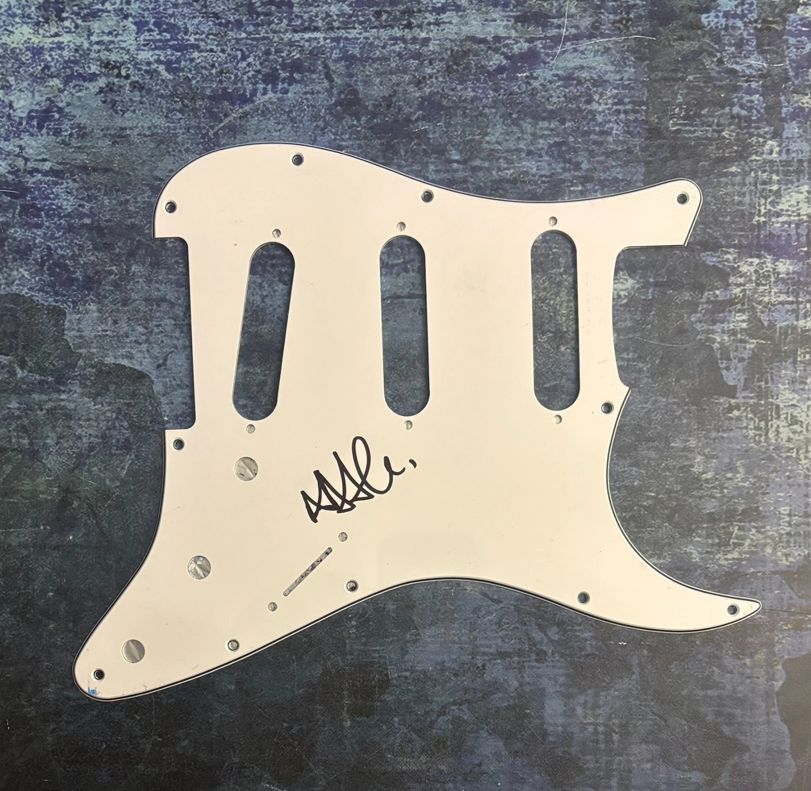 GFA Taking Back Sunday * ADAM LAZZARA * Signed Electric Pickguard PROOF COA