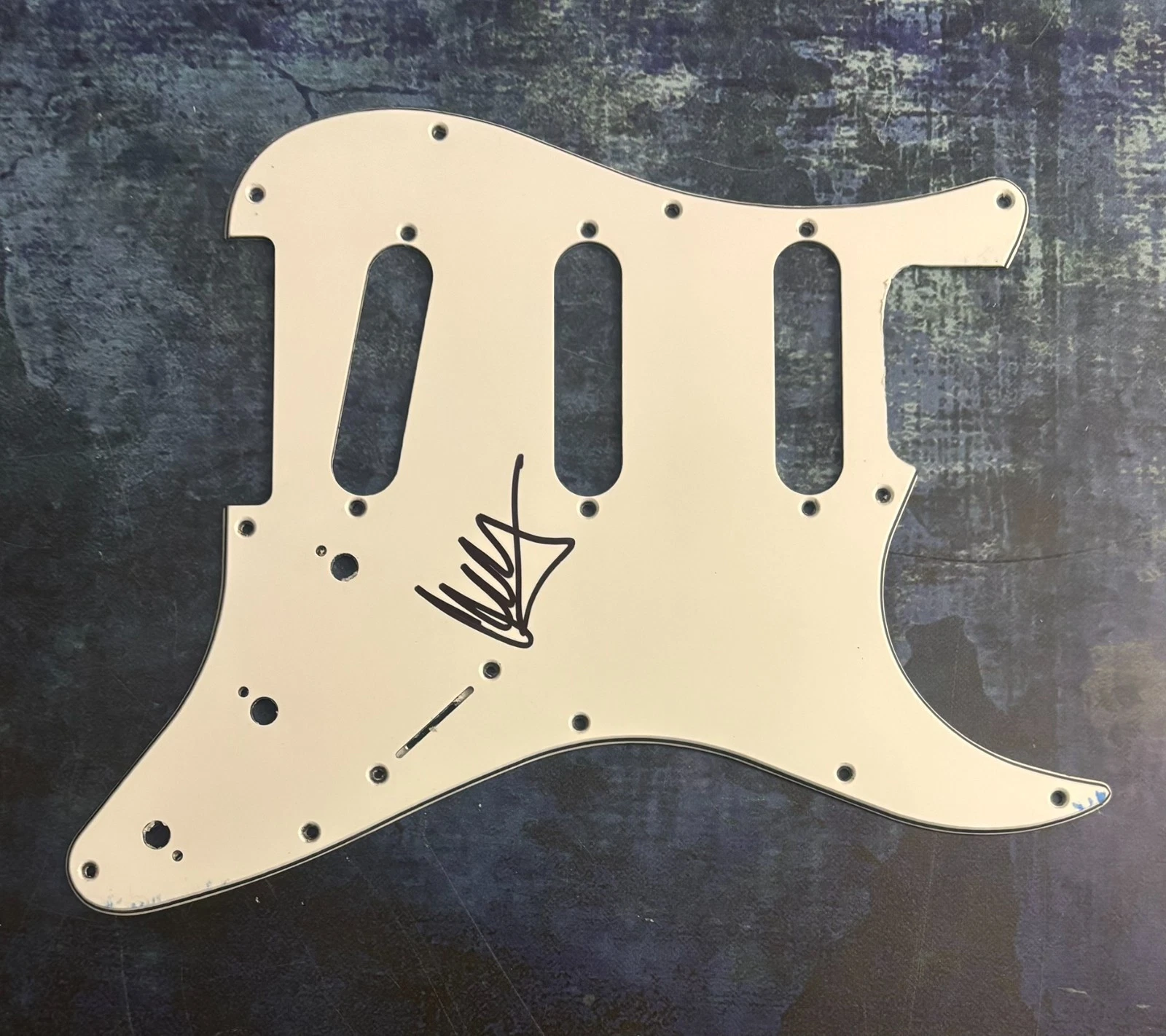 GFA Blink-182 & Alkaline Trio * MATT SKIBA * Signed Electric Pickguard PROOF COA