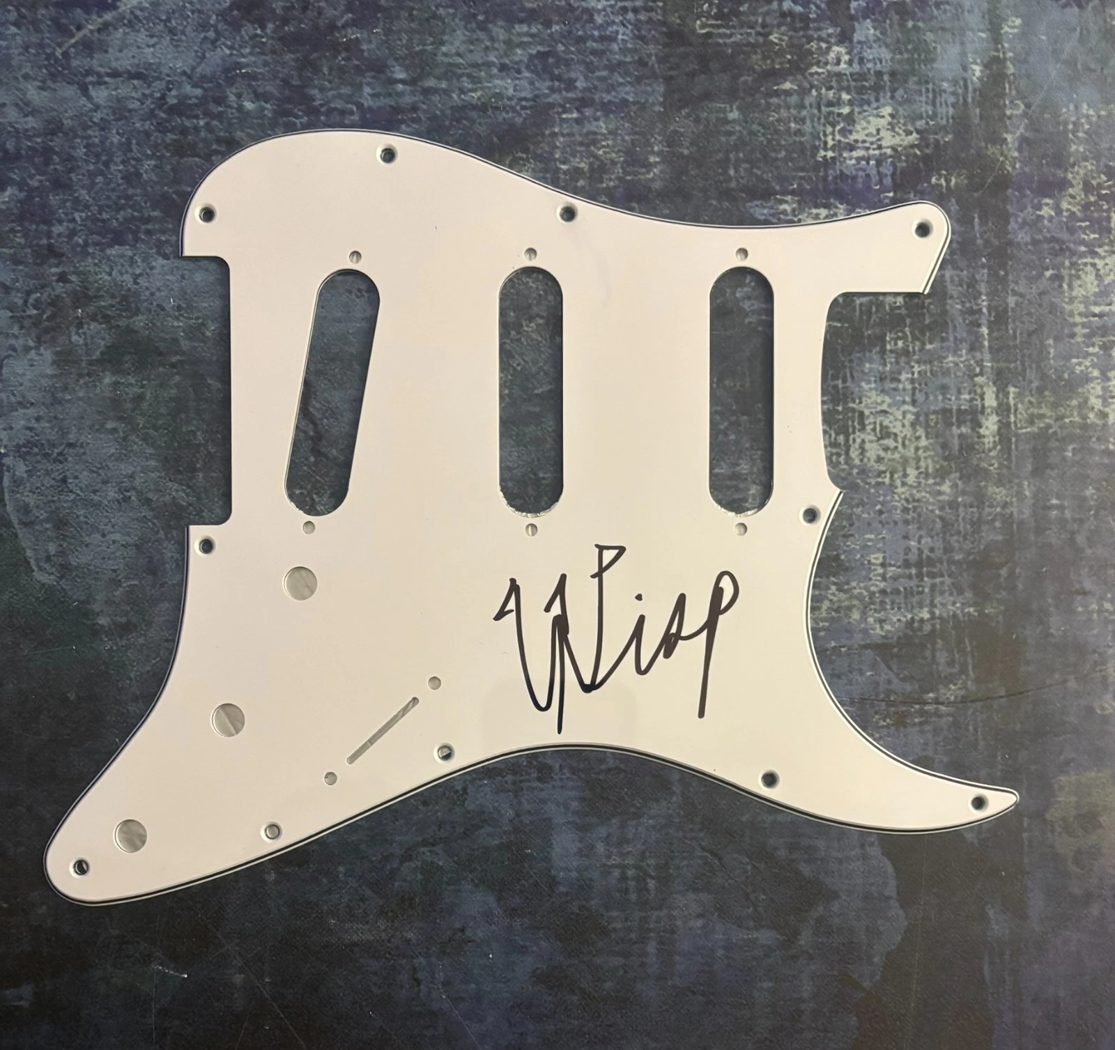 GFA Your Face Shoegaze Star  * WISP *  Signed Electric Pickguard PROOF COA