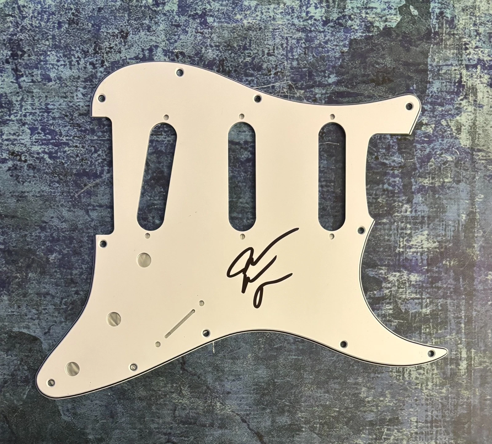 GFA I'll Stand By You Star  * JAKE WESLEY ROGERS * Signed Electric Pickguard COA