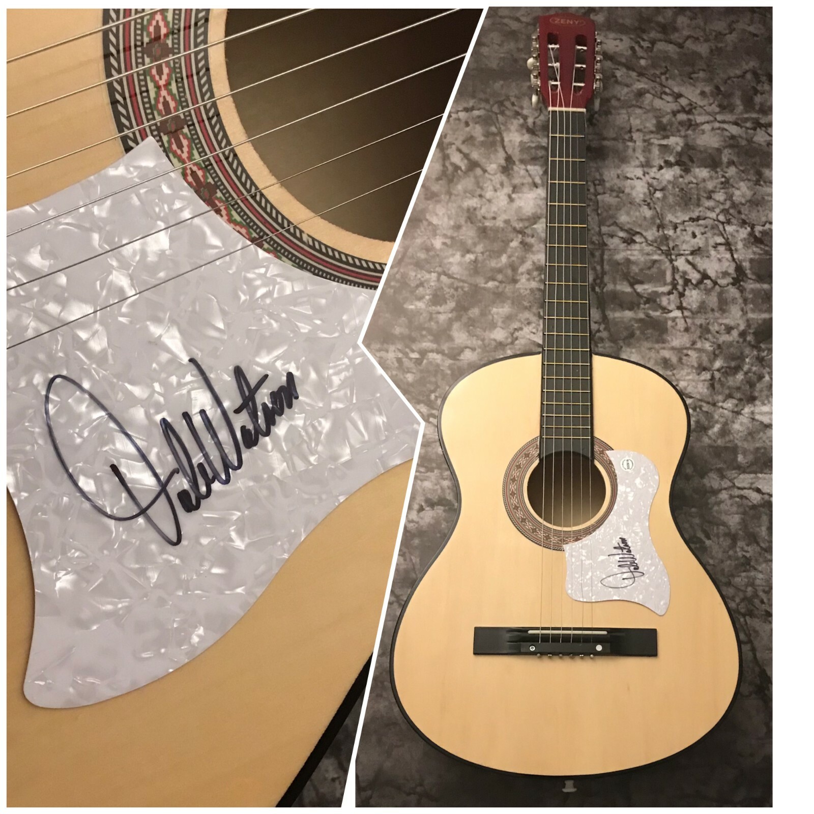 GFA  Ameripolitan Star * DALE WATSON *  Signed Acoustic Guitar D2 COA