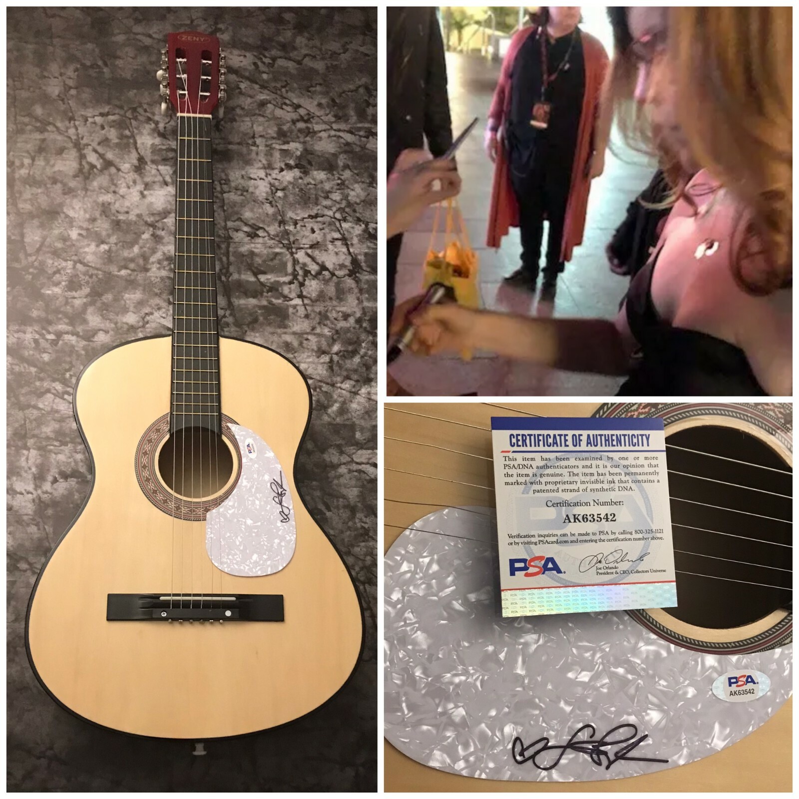 PSA  Stay I Missed You  * LISA LOEB * Signed Acoustic Guitar PROOF COA